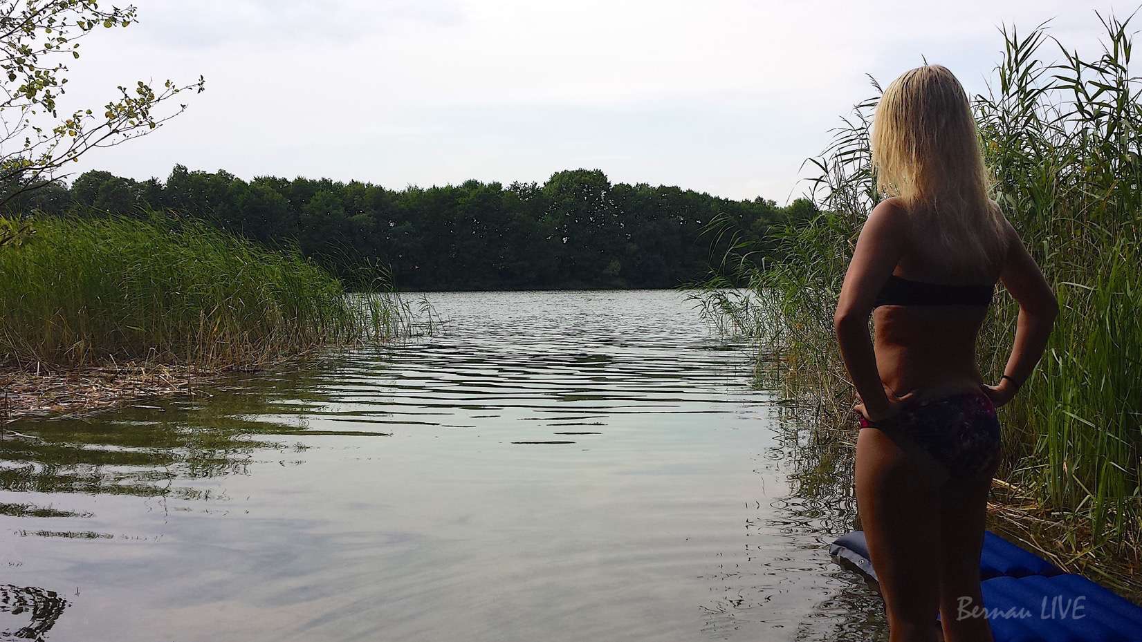 Bernau LIVE: Geniesst den Feierabend und ab ans Wasser! 56 Sommer, Bernau LIVE, Strand, Natur, Wasser, Feierabend, Baden, Ferien