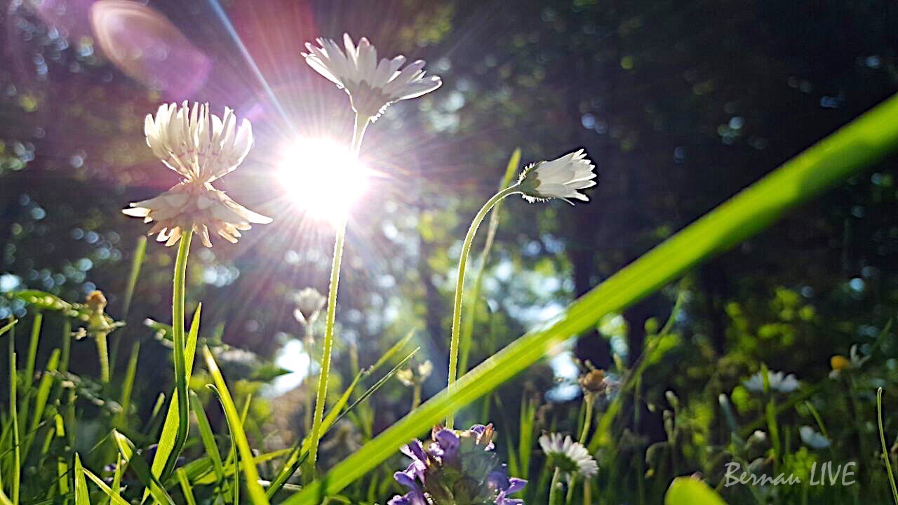 Bernau: Die Sonne ist da und wir auch! 24 Sommer, Bernau, Bernau bei Berlin,