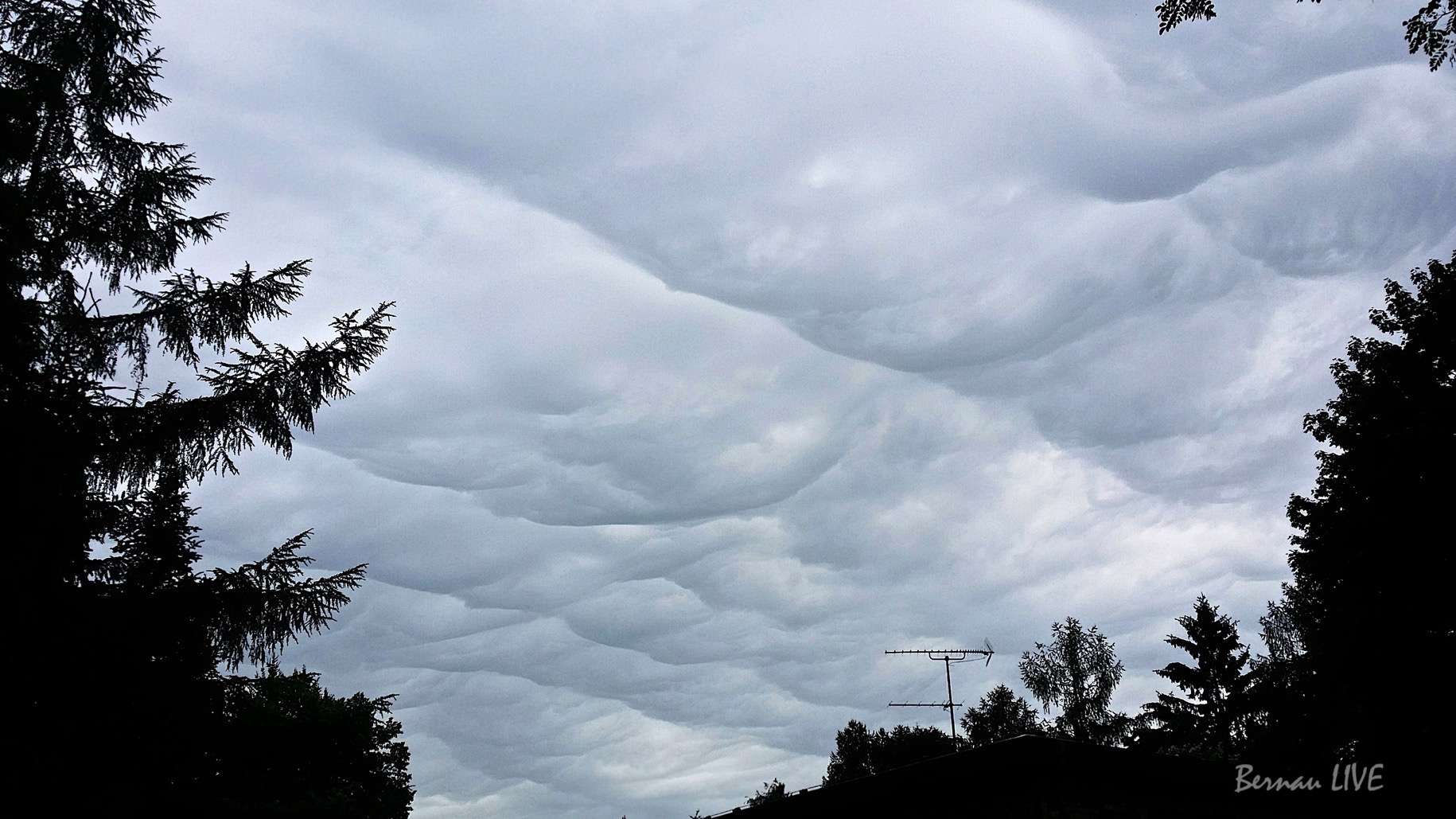 Wetter Bernau: Und dann kam der Regen - Kuschelwetter! 59 Wolken, Wetter, Unwetter, Natur, Bernau, Barnim, Bernau LIVE