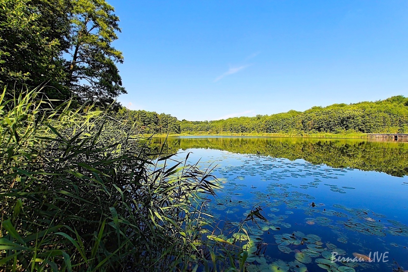 Schön, dass Du gerade bei Bernau LIVE vorbei schaust! 14 Bernau LIVE, Sommer, Sonne, See, Boitzenburg, Barnim, Bernau, Ladeburg, Sommer, Sonne, See