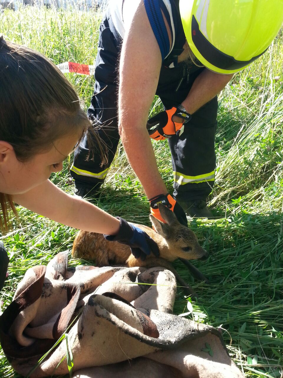 Feuerwehr Bernau: Rehkitz aus 3 Meter tiefen Schacht gerettet 15 Feuerwehr Bernau, Rehkitz, Bernau