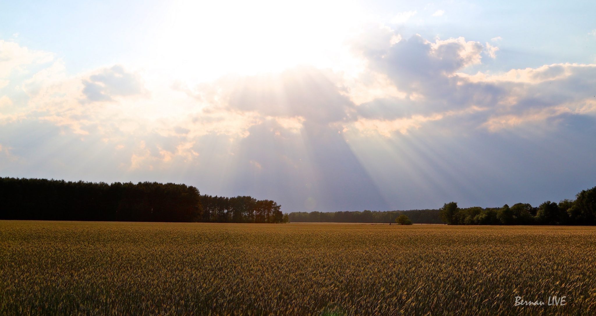 Bernau LIVE: Hallo am heutigen Dienstag 26 Bernau LIVE, Barnim, Natur, Wetter, Guten Morgen, Feld, Wolken, Sonne