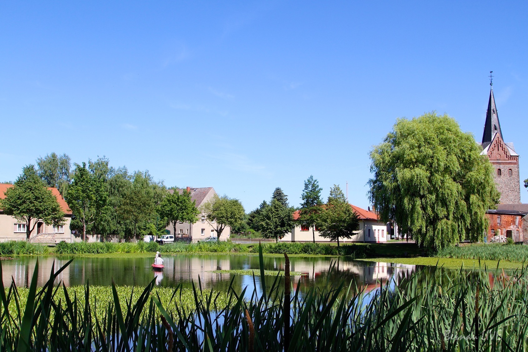 Bernau LIVE: Freitag! Hallo zusammen 58 Bernau LIVE, Schönfeld, Werneuchen, Barnim, Sommer, Teich, Wasser, Natur