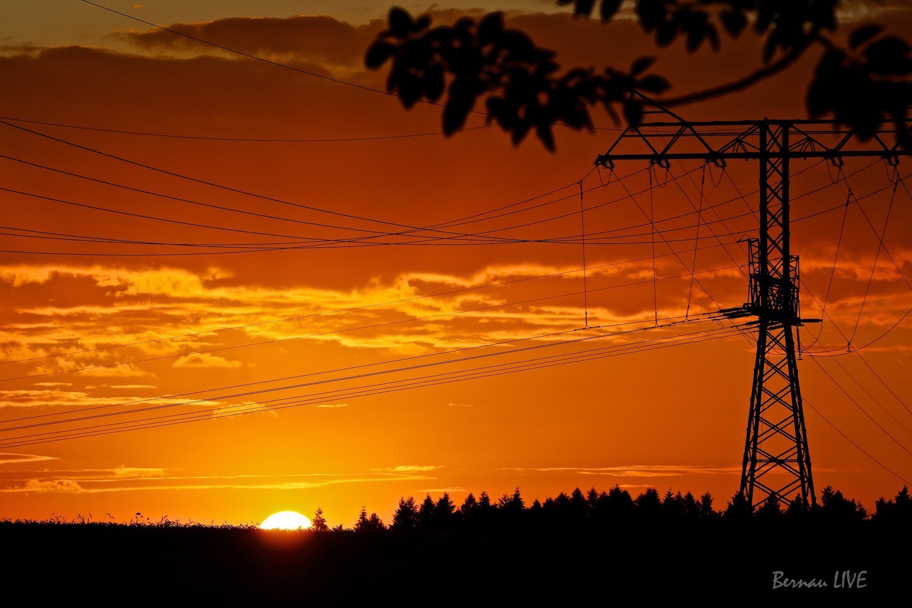 Bernau LIVE: Tschö mit Ö! 97 Bernau LIVE, Sonnenuntergang, Abend, Bernau, Barnim,