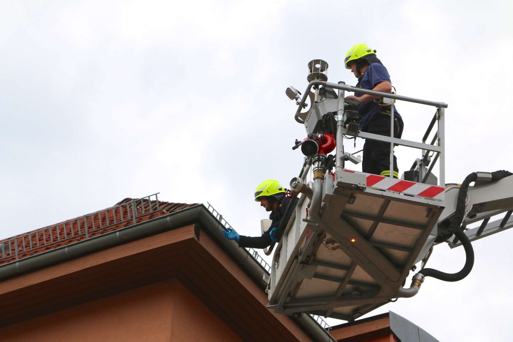 Eine Welt voller Hoffnung - Feuerwehr Bernau rettet Schwalbe 69 Feuerwehr Bernau, Tierrettung, Bernau, Barnim, Feuerwehr, Bernau bei Berlin, Bernau LIVE