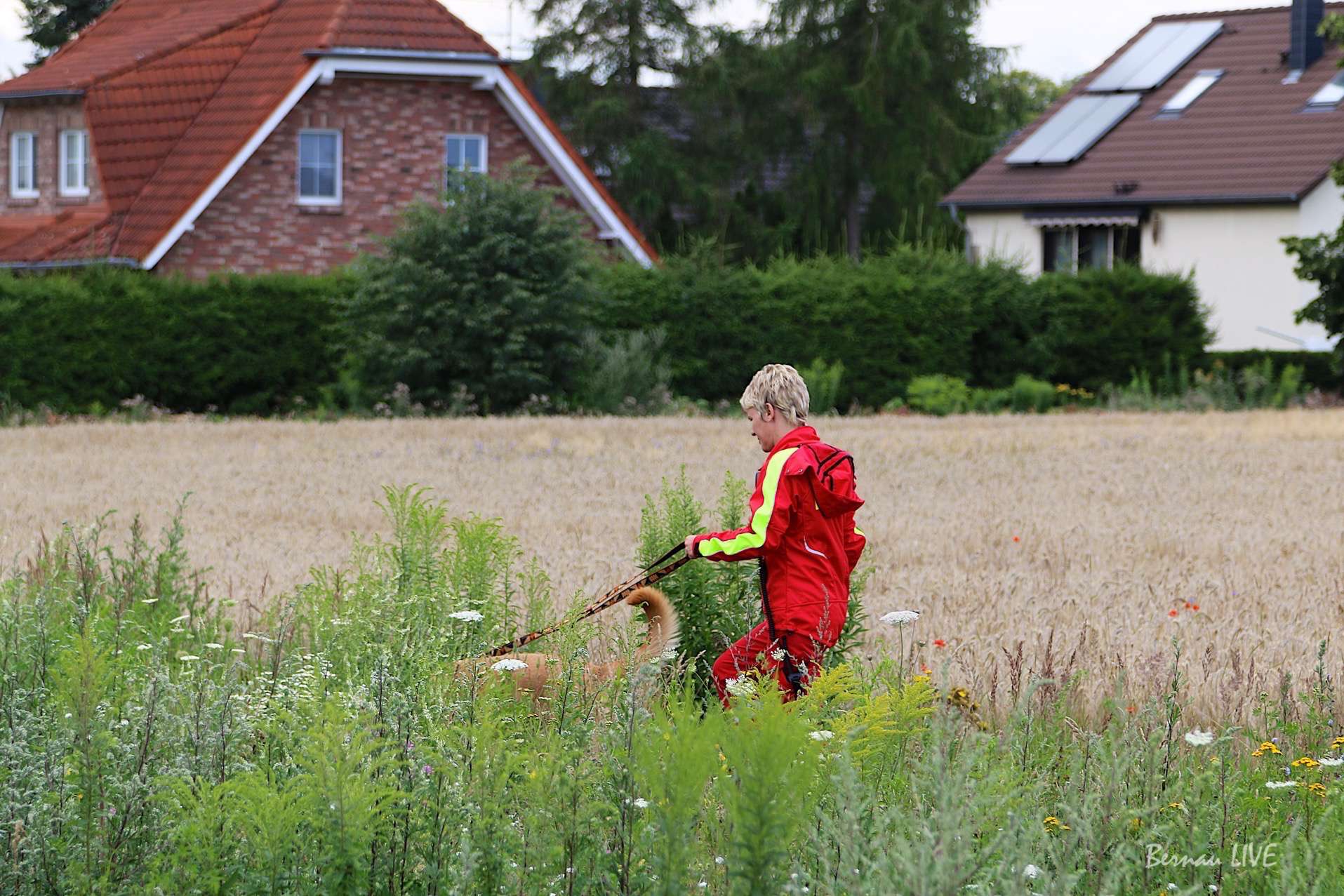 Umfangreiche Personensuche in Bernau bei Berlin 9 Rettungshundestaffel Barnim, DLRG, Barnim, Bernau, Bernau LIVE