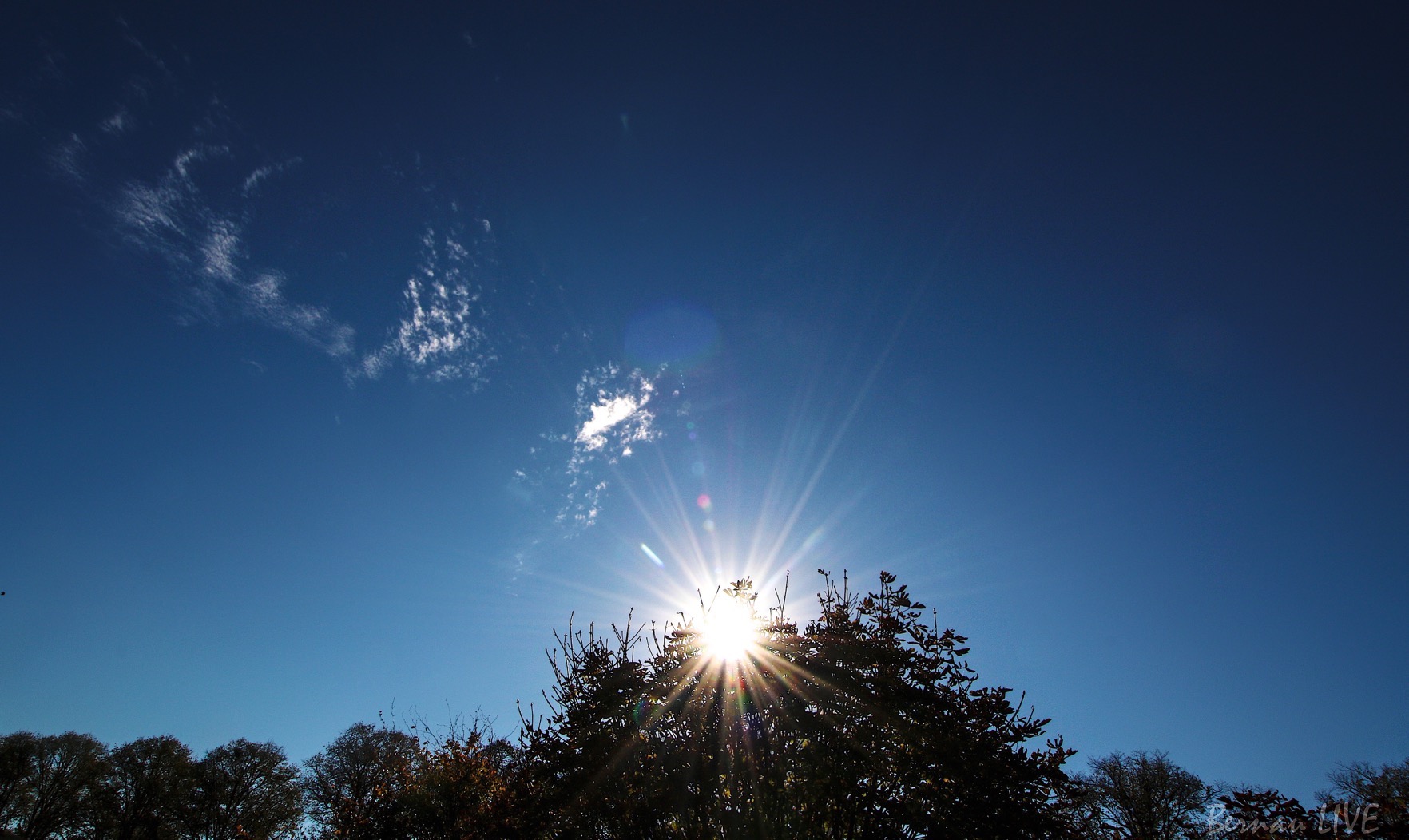 Veranstaltungen, Sonne, Sommer, Wetter, Bernau, Bernau LIVE