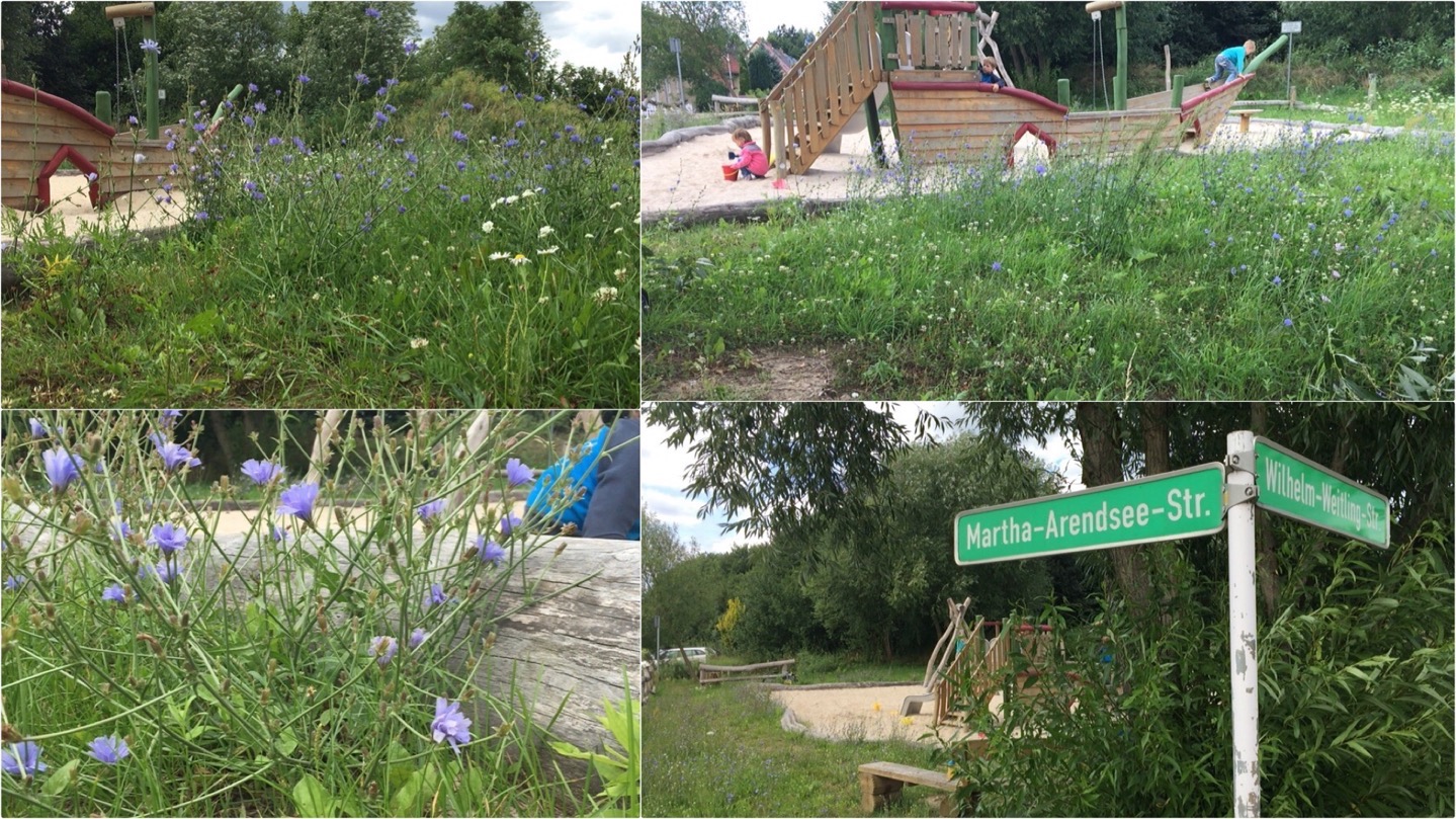Bernau: Naturspielplatz in Lindow? 37 Lindow, bernau, Spielplatz Lindow, Barnim, bernau, Bernau bei Berlin, Bernau LIVE, Leserpost