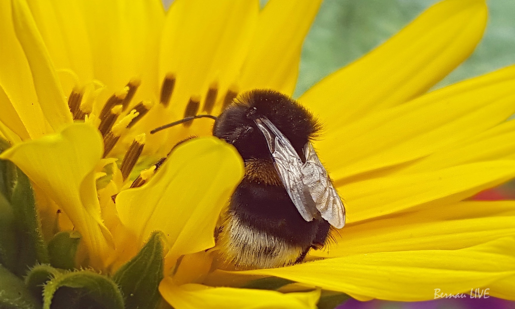 Bernau LIVE: Guten Morgen und willkommen im Donnerstag 3 Bernau LIVE - Dein Stadtmagazin für Bernau bei Berlin