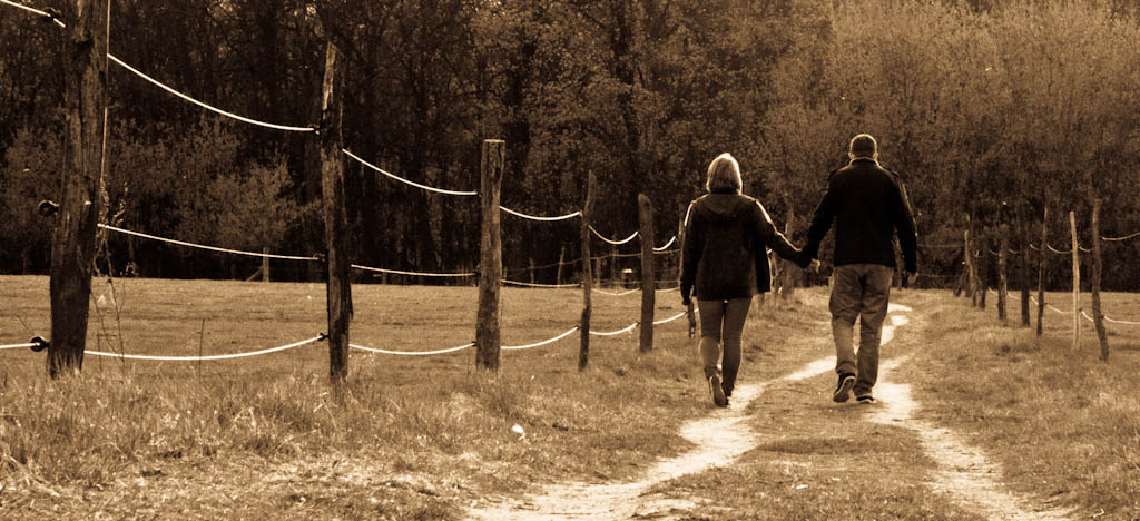 Bernau LIVE: Guten Morgen, Bernau, Barnim und Drumherum 7 Bernau LIVE - Guten Morgen, Bernau, Barnim und Drumherum