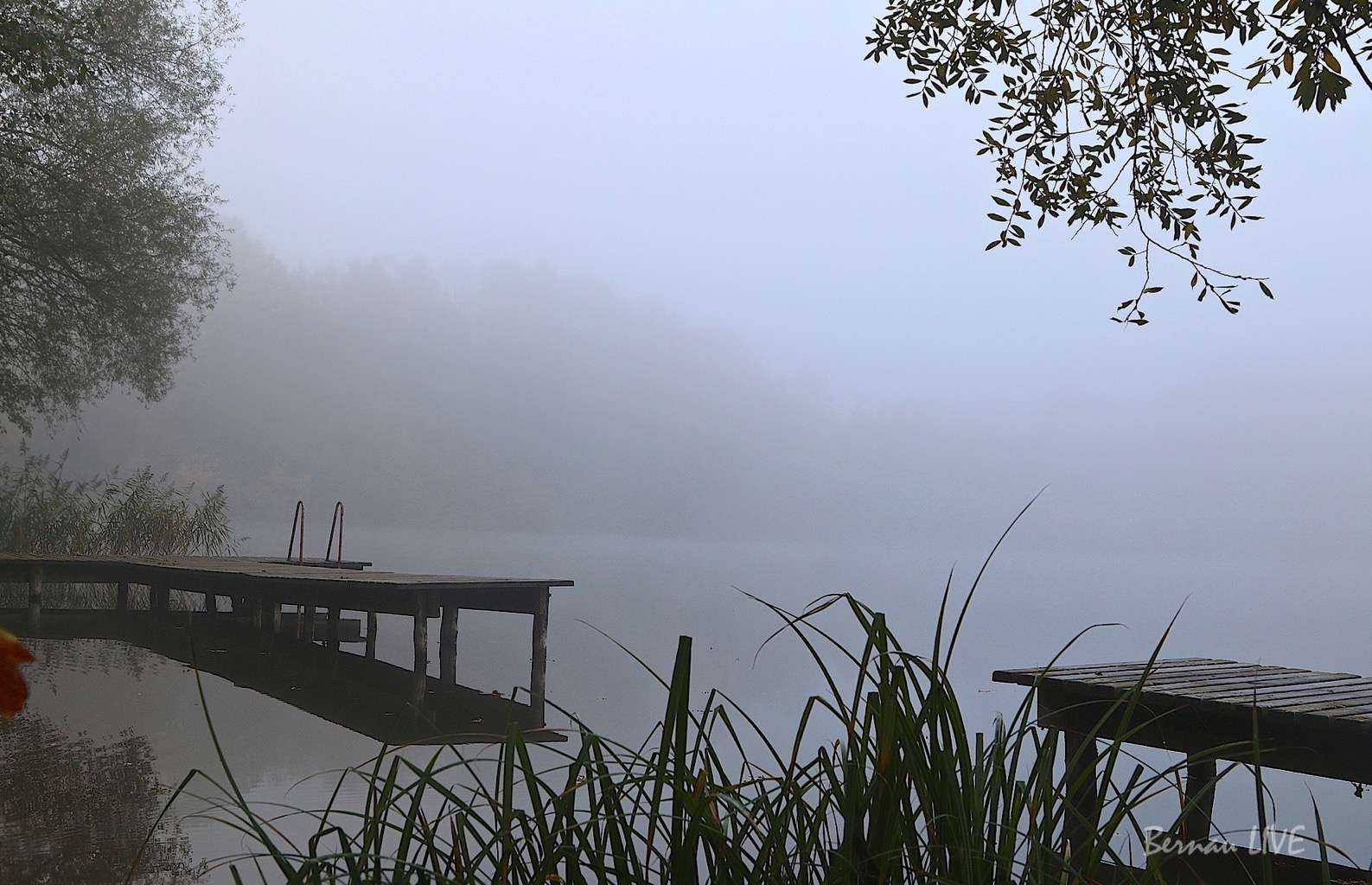 Bernau: Mit dichtem Nebel in den Sonntag 23 Bernau - Barnim: Schön, dass Ihr hier seid - guten Morgen