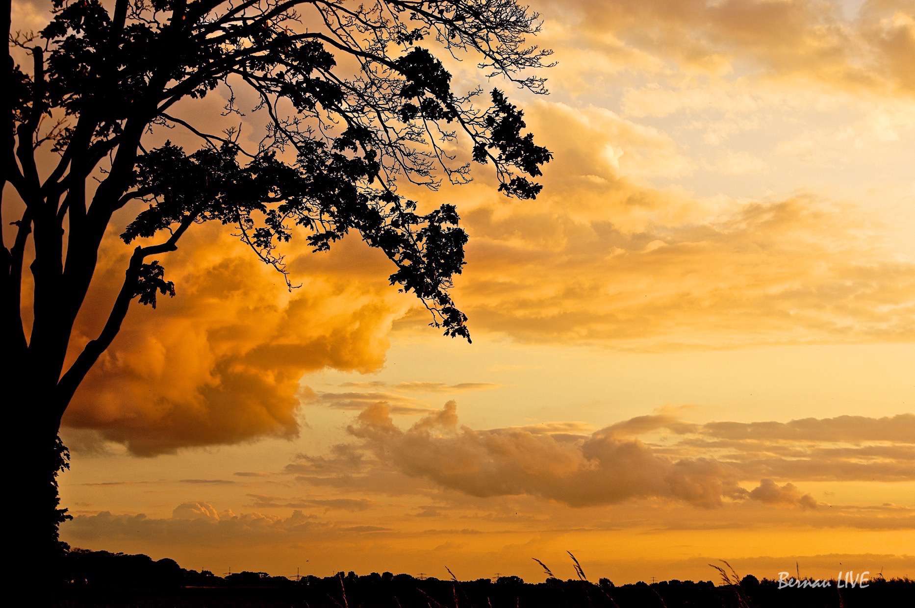 Bernau LIVE: Der Sonntag neigt sich dem Ende 21 Bernau LIVE Der Sonntag neigt sich dem Ende - Euch noch einen ruhigen und entspannten Sonntag-Abend...