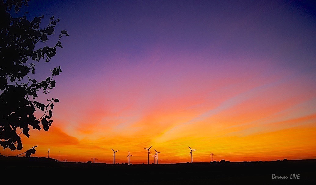 Bernau: Jetzt kehrt auch hier Ruhe ein - meine Bilder des Tages!