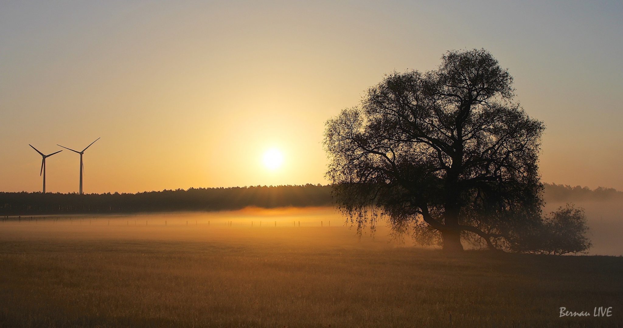 Bernau-Barnim: Endlich Wochenende - Veranstaltungstipps 121 Bernau LIVE - herbstliche Morgenstimmung in Ladeburg