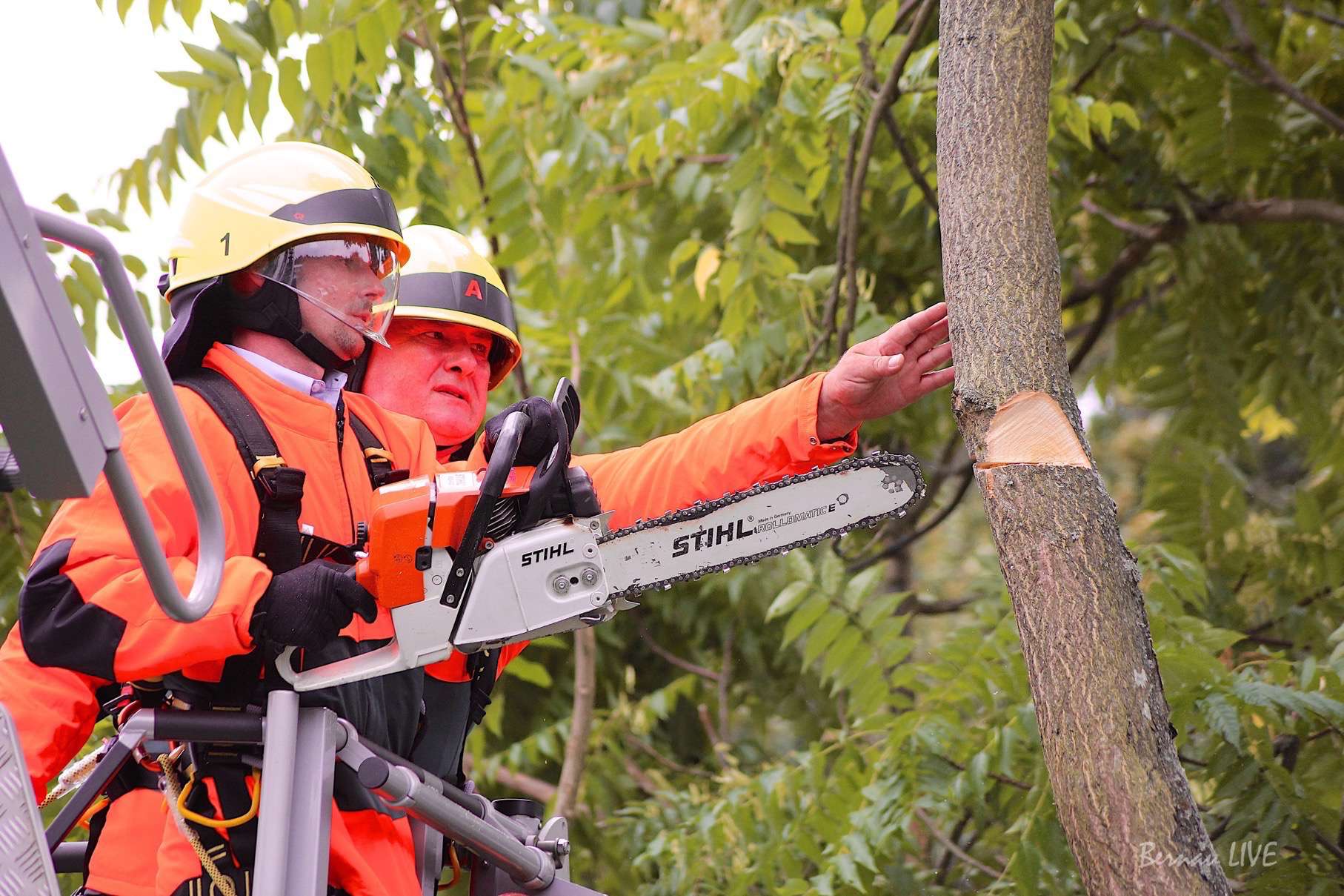 Feuerwehr Bernau: Baum drohte auf Haus zu stürzen 23 Feuerwehr Bernau: Gegen 14.45 Uhr wurde die Freiwillige Feuerwehr Bernau am heutigen Montag in die Bernauer Waldsiedlung gerufen.