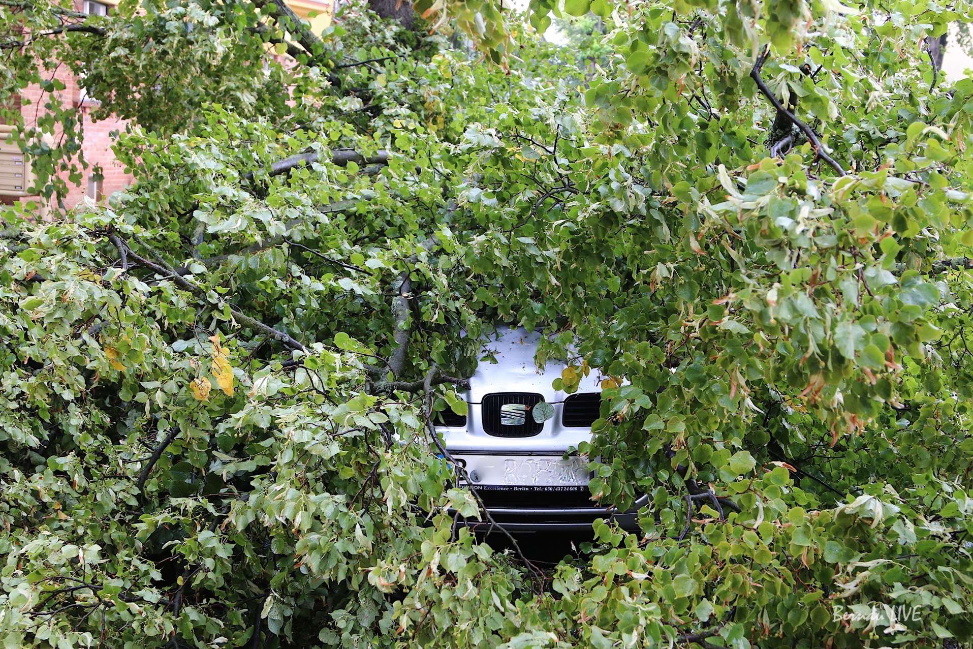 Bernau, Unwetter, Barnim, nachrichten Feuerwehr, Bernau LIVE