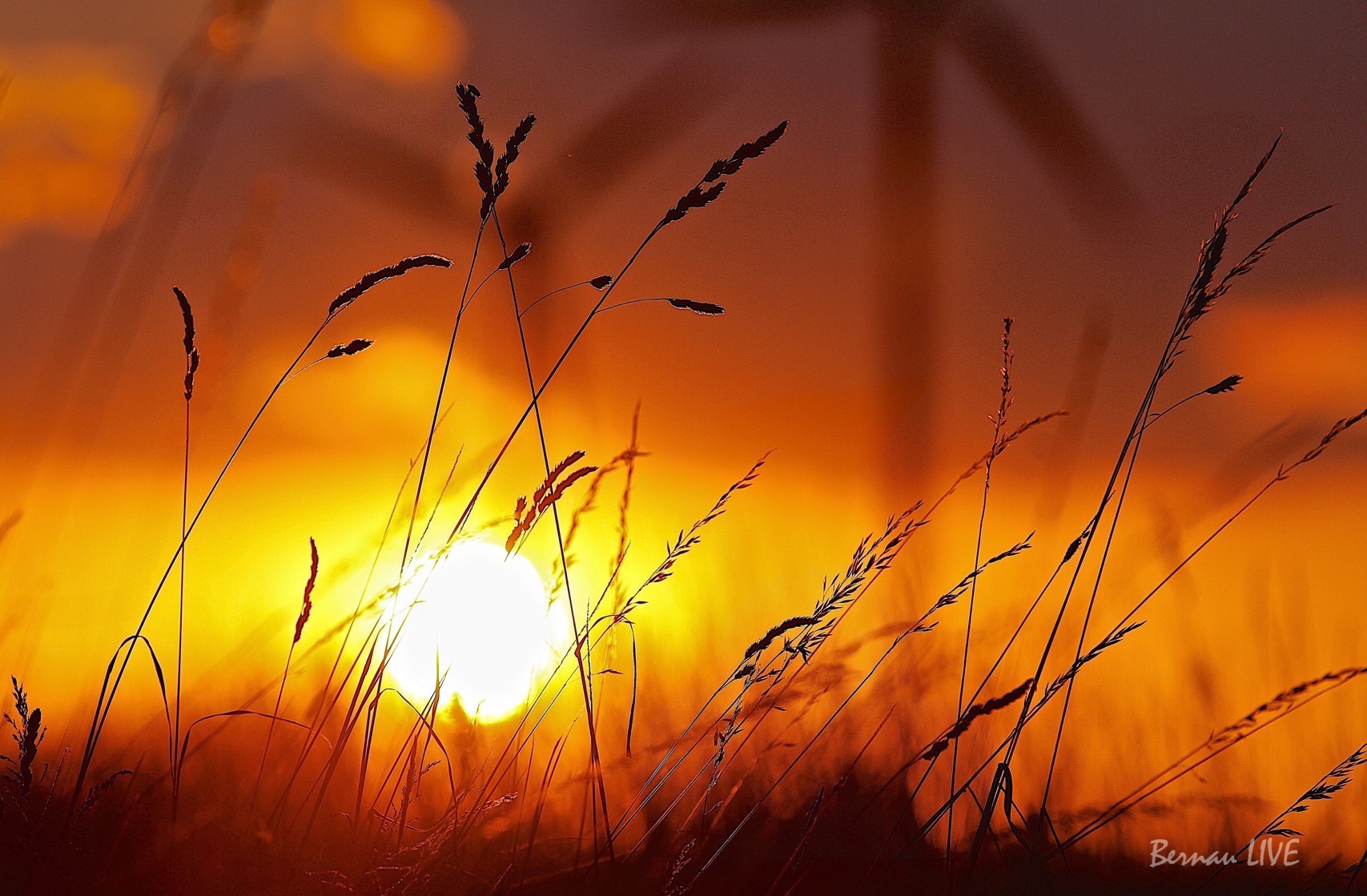 Sonnenuntergang im Barnim 44 Sommer, Barnim, Sonnenuntergang, Bernau, Bernau LIVE, Natur, Feld, Windrad