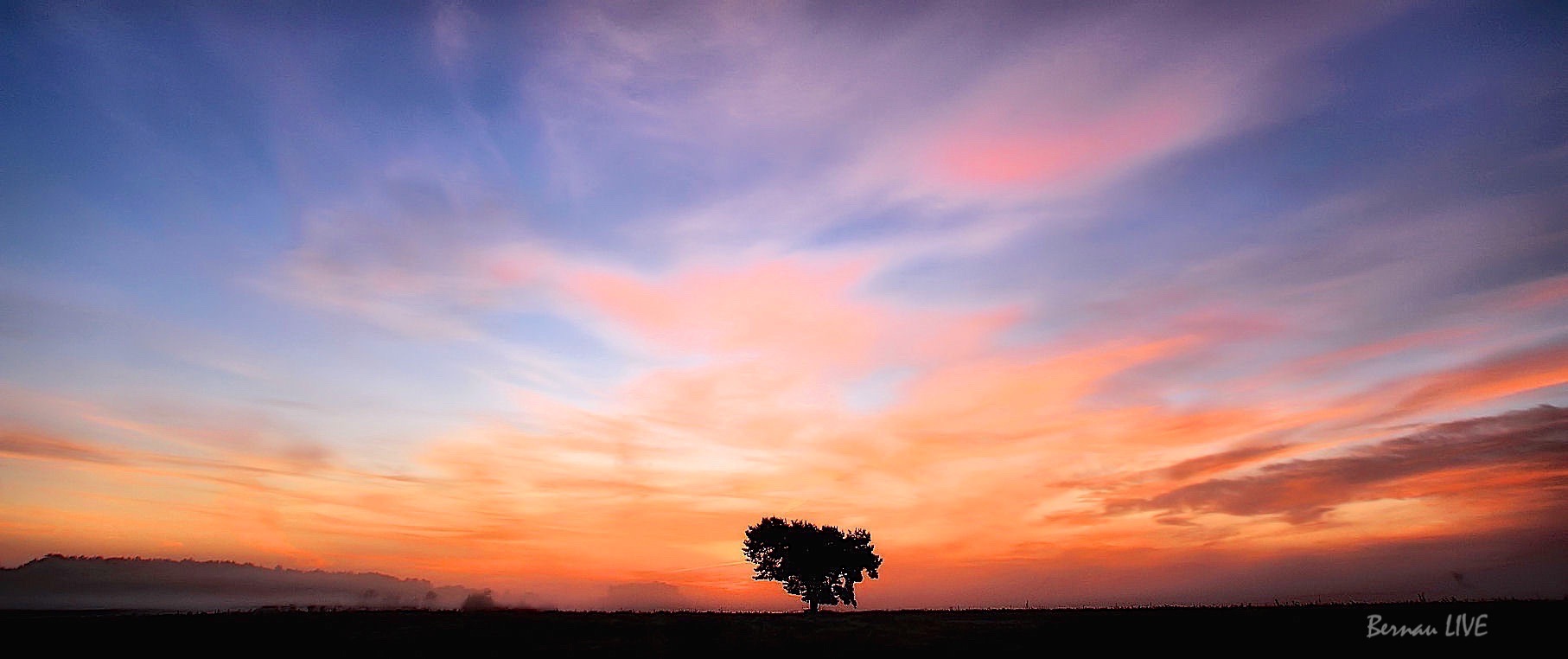 Bernau: Strahlend blauer Himmel und Sonne satt - Moin! 28 Bernau LIVE - Dein Stadtmagazin für Bernau bei Berlin