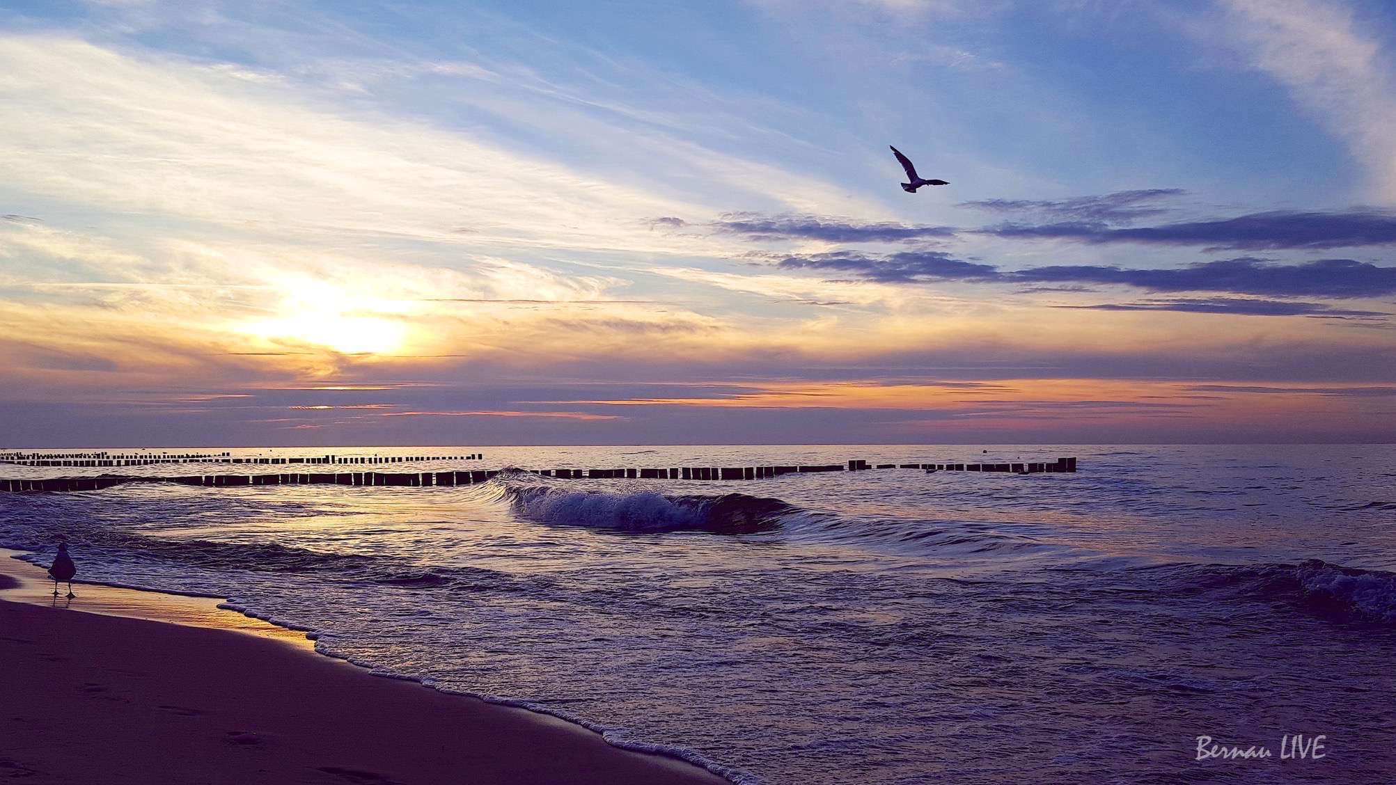 Ostsee, Kühlungsborn, Bernau LIVE, Natur, Sommer, Abend, Sonnenuntergang, Bernau LIVE, Meer, Wasser