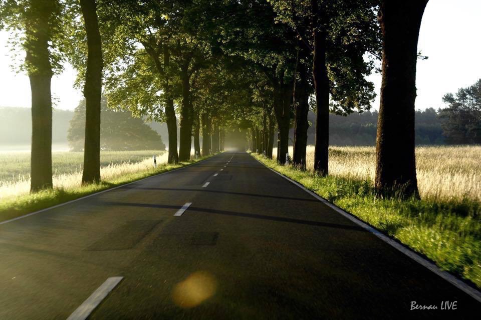 Bernau LIVE: Einen sonnigen guten Morgen 32 Bernau LIVE, Bernau, Sonnenaufgang, Barnim, Sommer, Strasse, Sonne