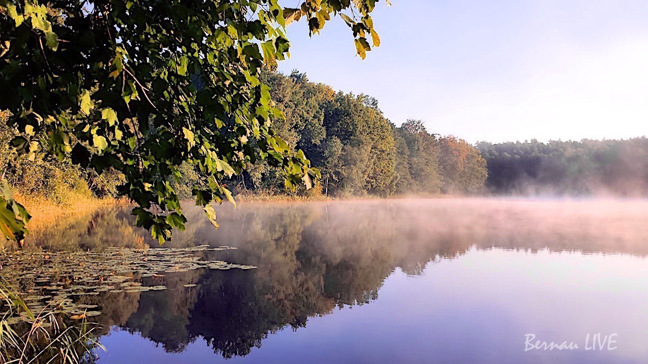Bernau-Barnim: Moin, na alle wach? 151 Bernau-Barnim, Mechesee, Lobetal, Ladeburg, Barnim, Bernau, Bernau LIVE