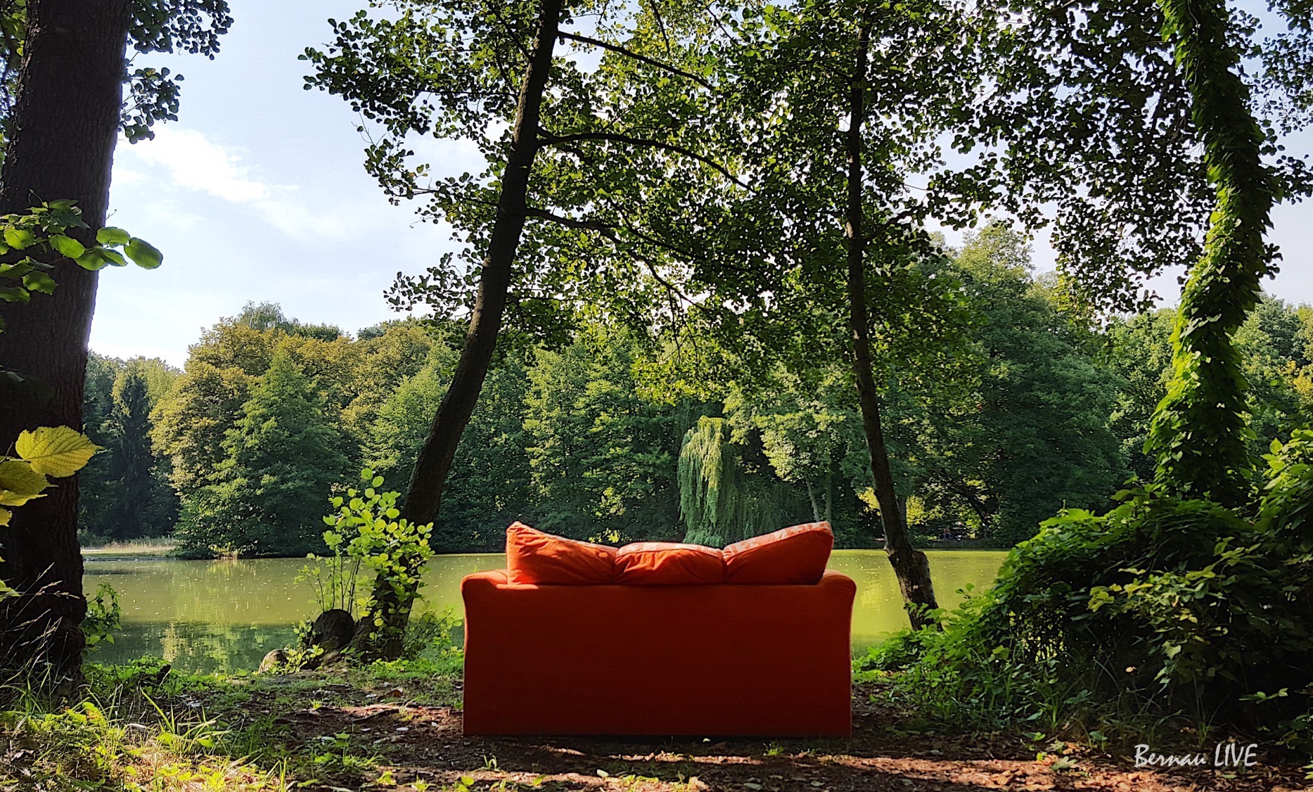 Bernau-Barnim, Bernau, Barnim, Bernau LIVE, Schloss Dammsmühle, Sommer, Wasser, Natur