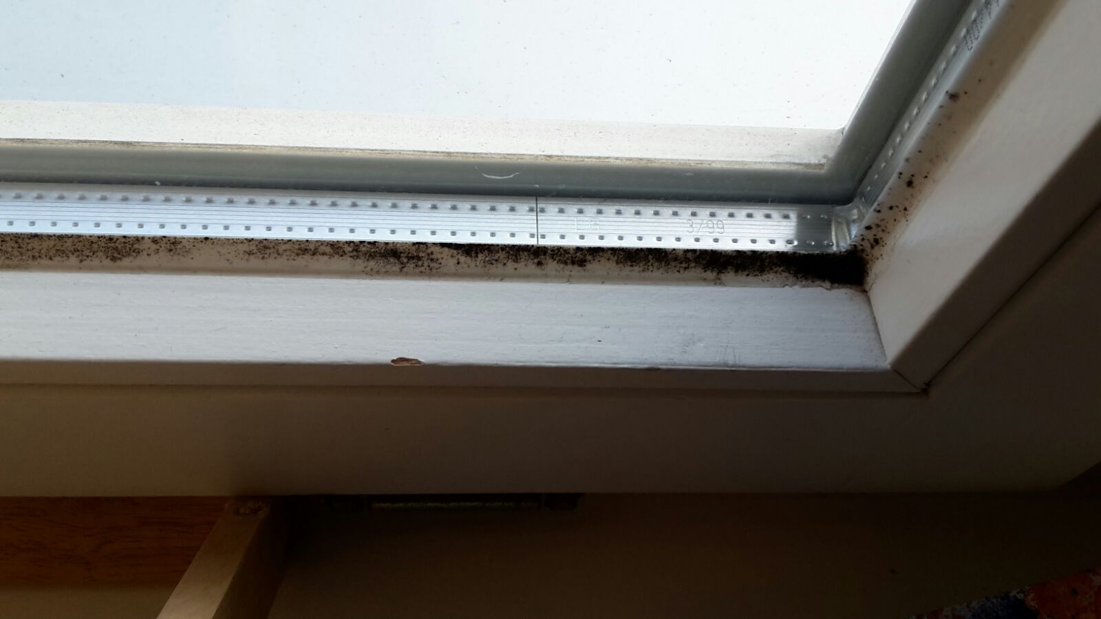 Bernau: Schimmel in Bernauer Kita sorgt für Unmut bei den Eltern 1 Schimmel in Bernauer Kita sorgt für Unmut bei den Eltern