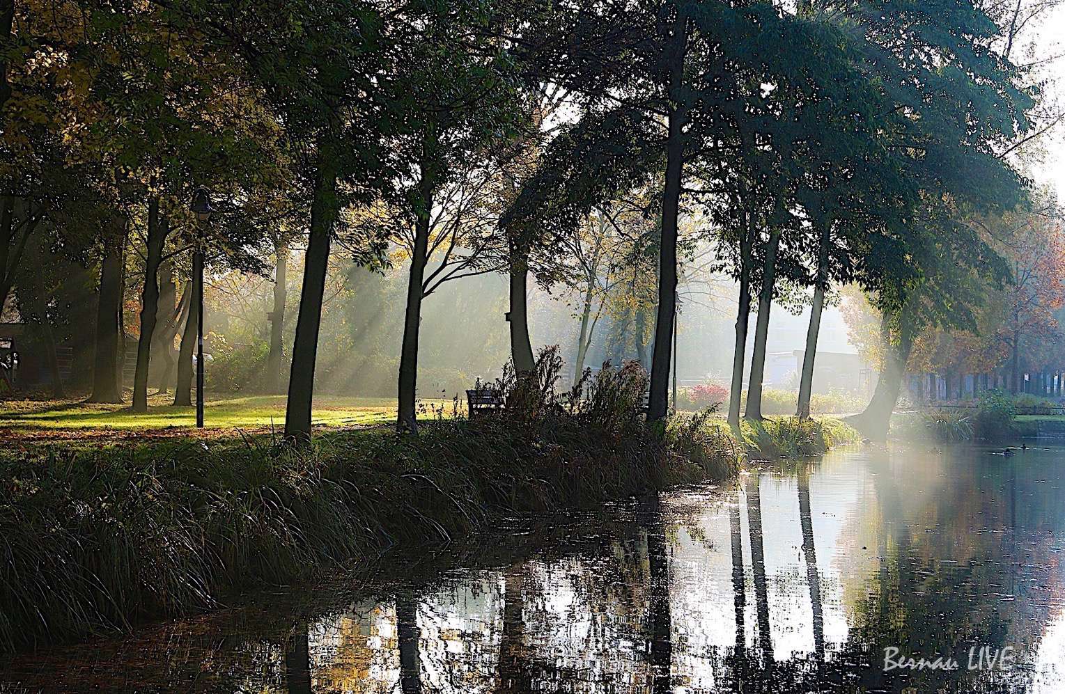 Barnim: Wochenende- anbei unsere Veranstaltungs-Tipps! 12 Barnim, Bernau, Bernau LIVE, Veranstaltungstipps, Stadtpark Bernau