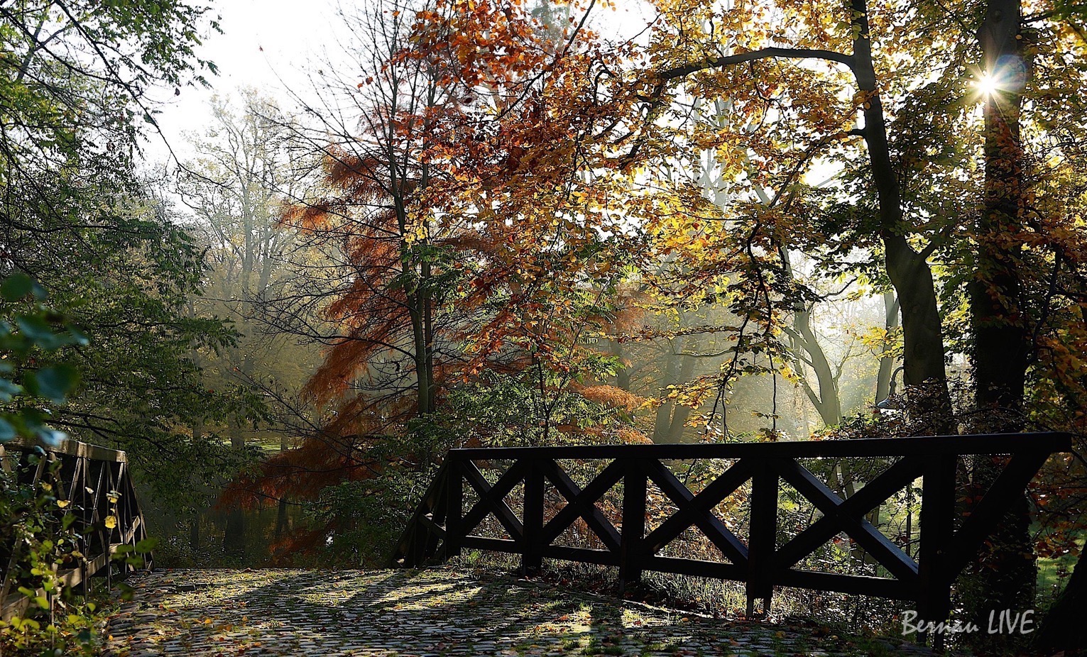 Willkommen in der neuen Woche - International Day of Peace! 22 Bernau - Barnim: Guten Morgen und mein Arbeitsweg im Vakuum