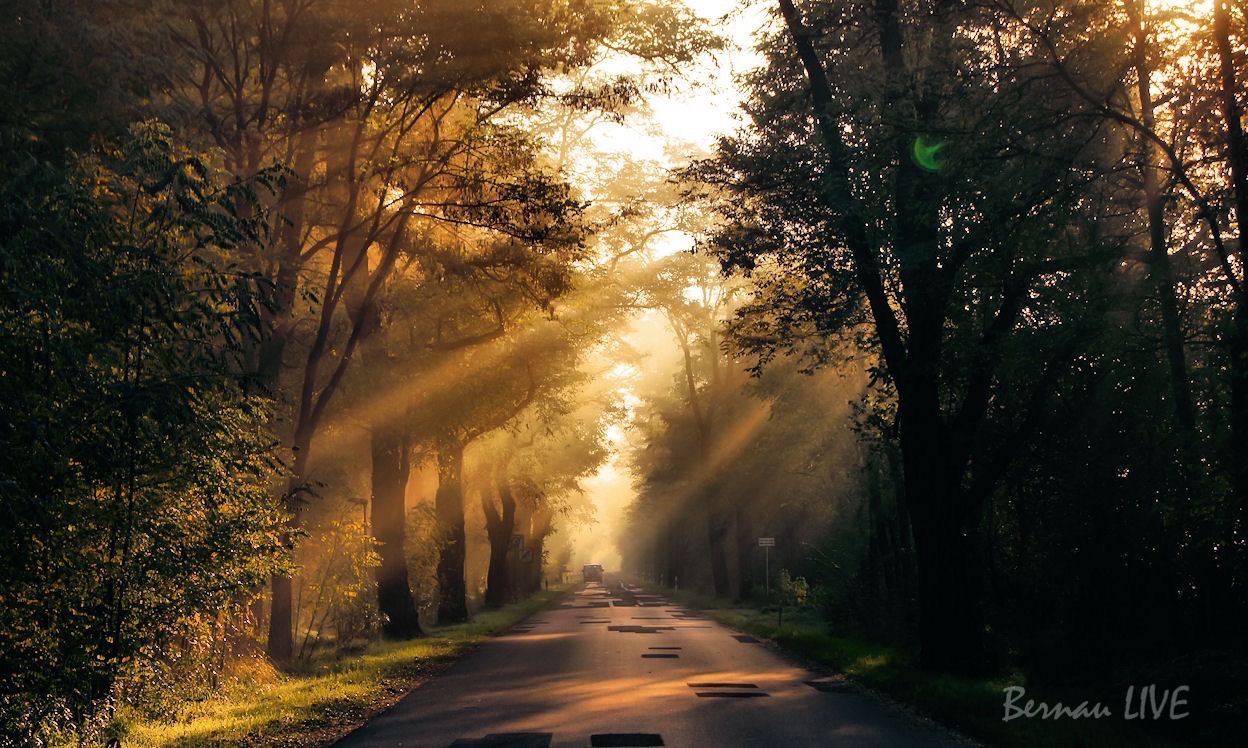 Bernau: Halb 8, die Sonne lacht, guten Morgen! 24 Bernau: Halb 8, die Sonne lacht, guten Morgen!