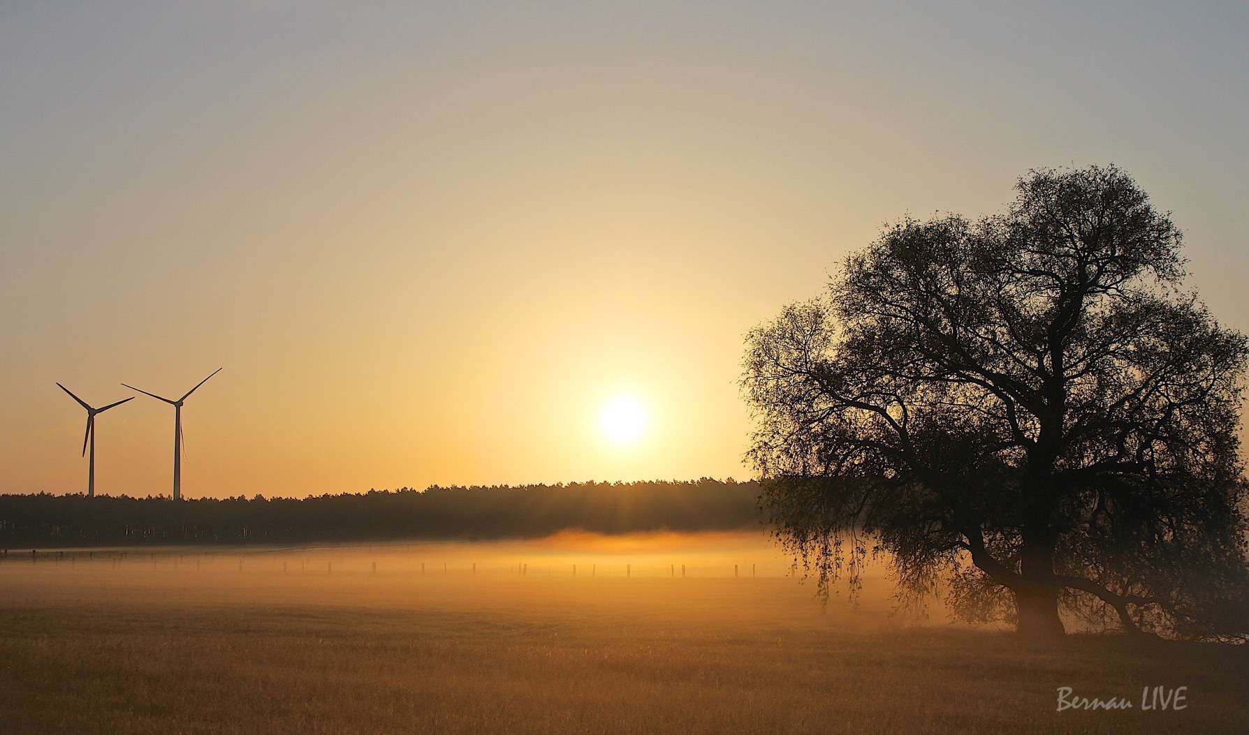 Bernau LIVE: Moin aus Bernau bei Berlin 32 Bernau: Sonnenaufgang in Bernau Ladeburg