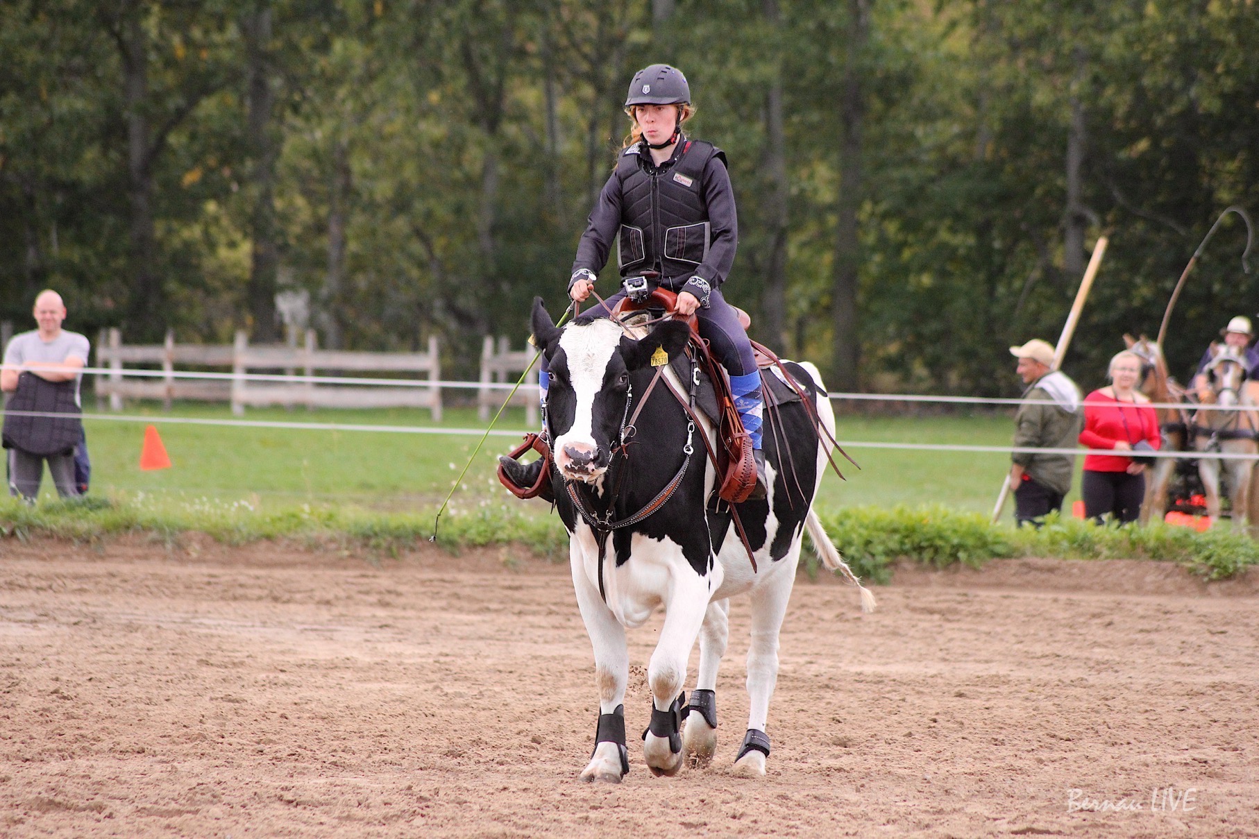 Betty´s großer Tag – ein Erntefest einmal anders 1 Kuh- und Reitturnier in Berlin Buch