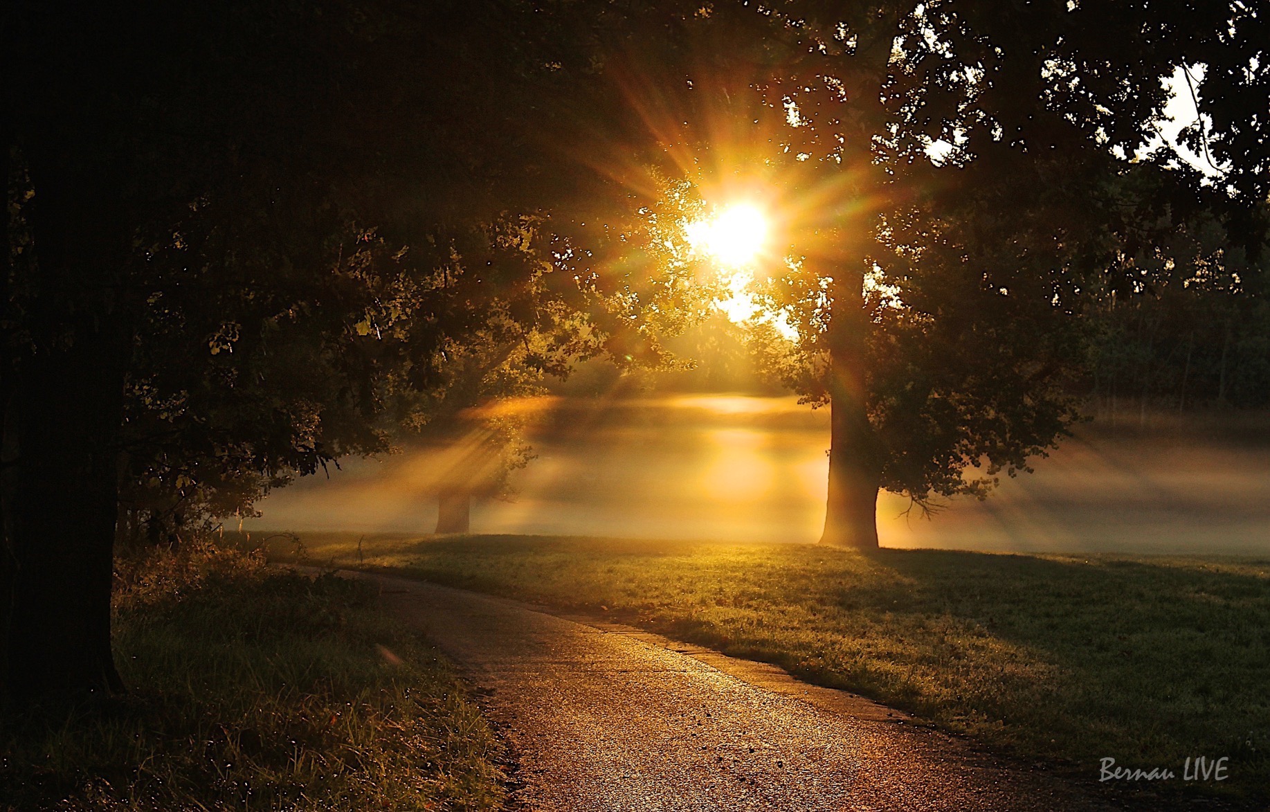 Sonnenaufgang, Lobetal, Supermond