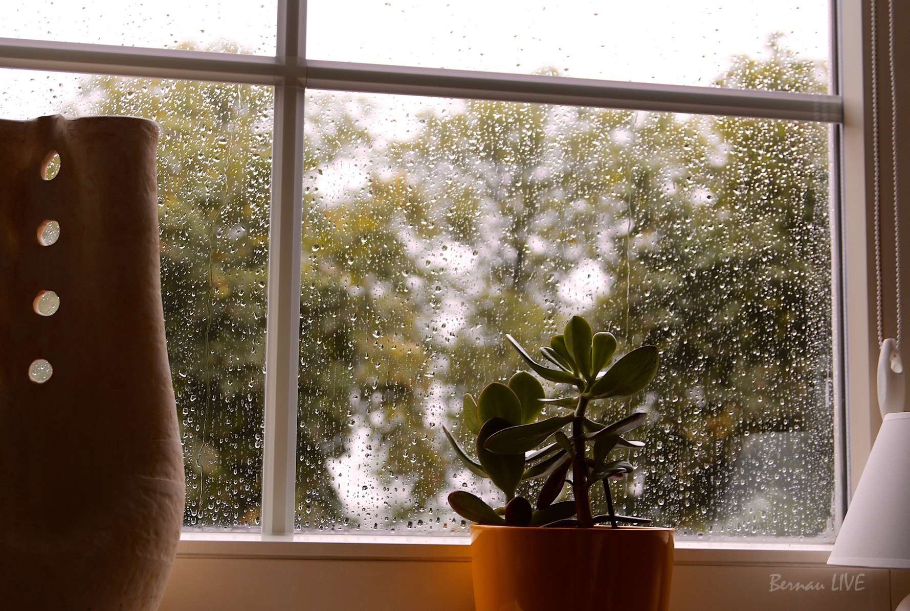 Bernau LIVE - Moin, was ist denn da draussen los? 148 Bernau LIVE, Bernau, Sonntag, Wetter, Barnim, Ladeburg