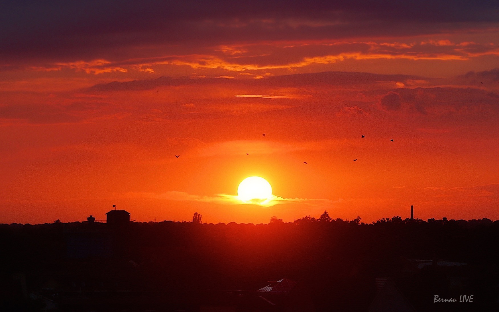 Bernau, heute, so kurz nach 19 Uhr 39 Bernau LIVE wünscht einen schönen Abend