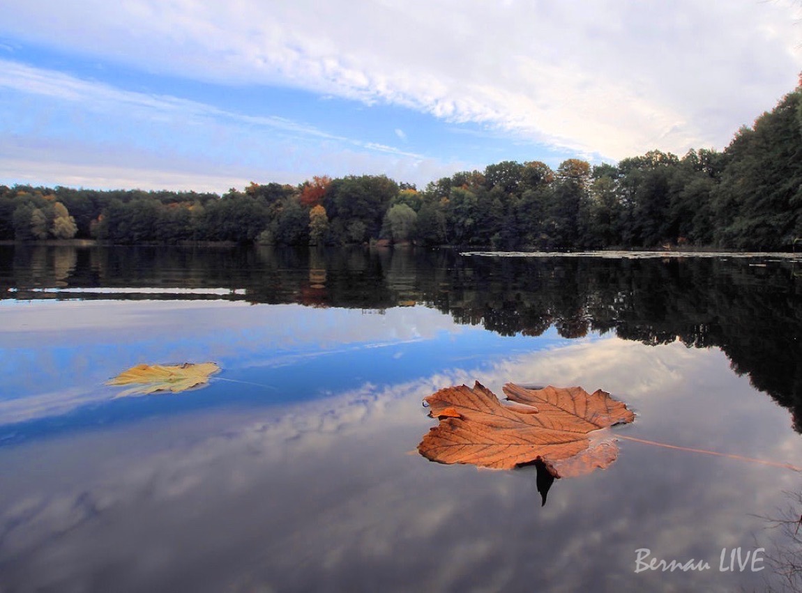 Guten Morgen, Bernau und Barnim 47 Bernau LIVE, Mechesee, Lobetal, Barnim, Guten Morgen, Bernau bei Berlin, Natur,