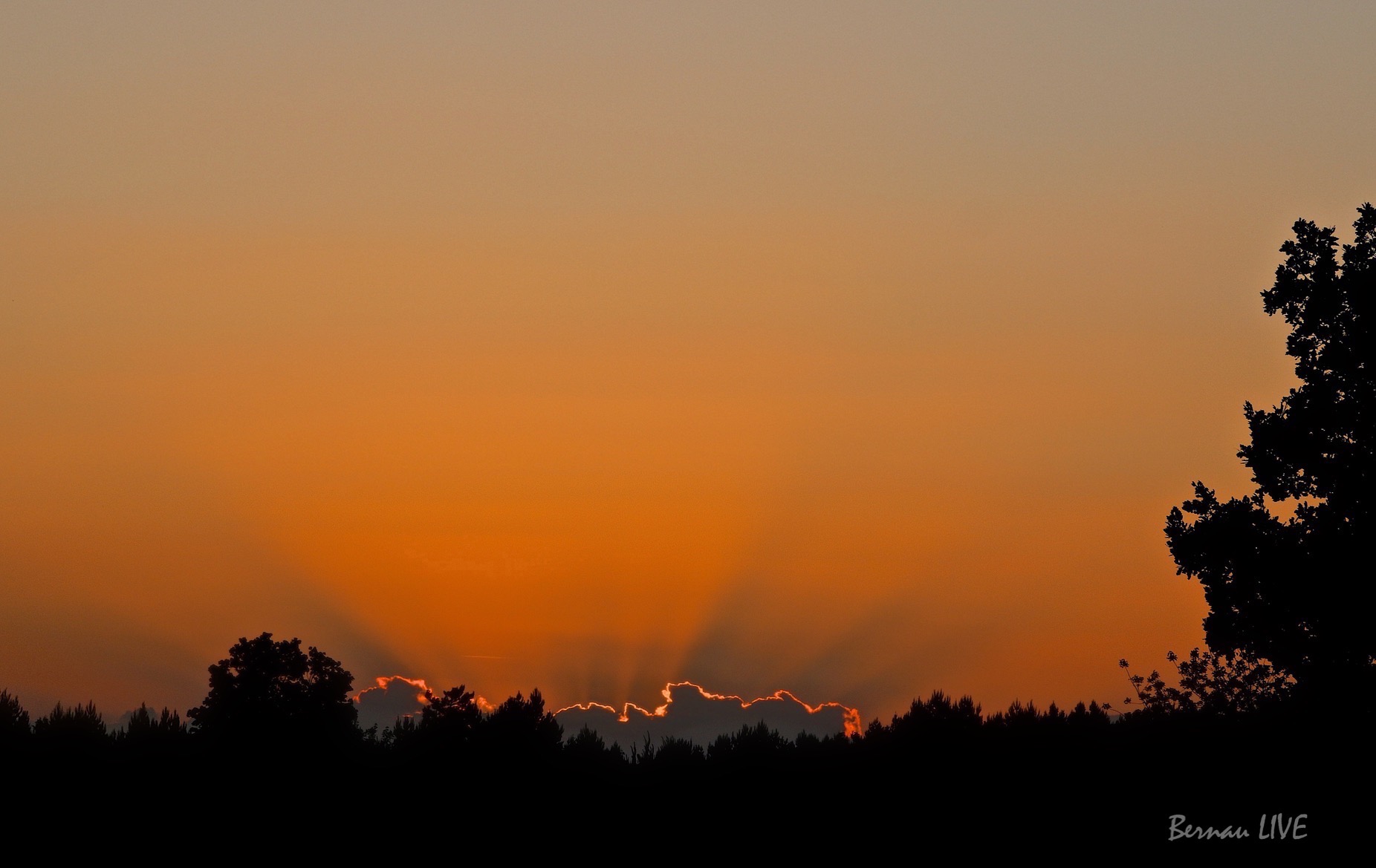 Gute Nacht Bernau und allen Drumherum und überall 49 Bernau LIVE, Sonnenuntergang Barnim, Sonnenuntergang Bernau, Natur, Abend, Sonne, Wetter