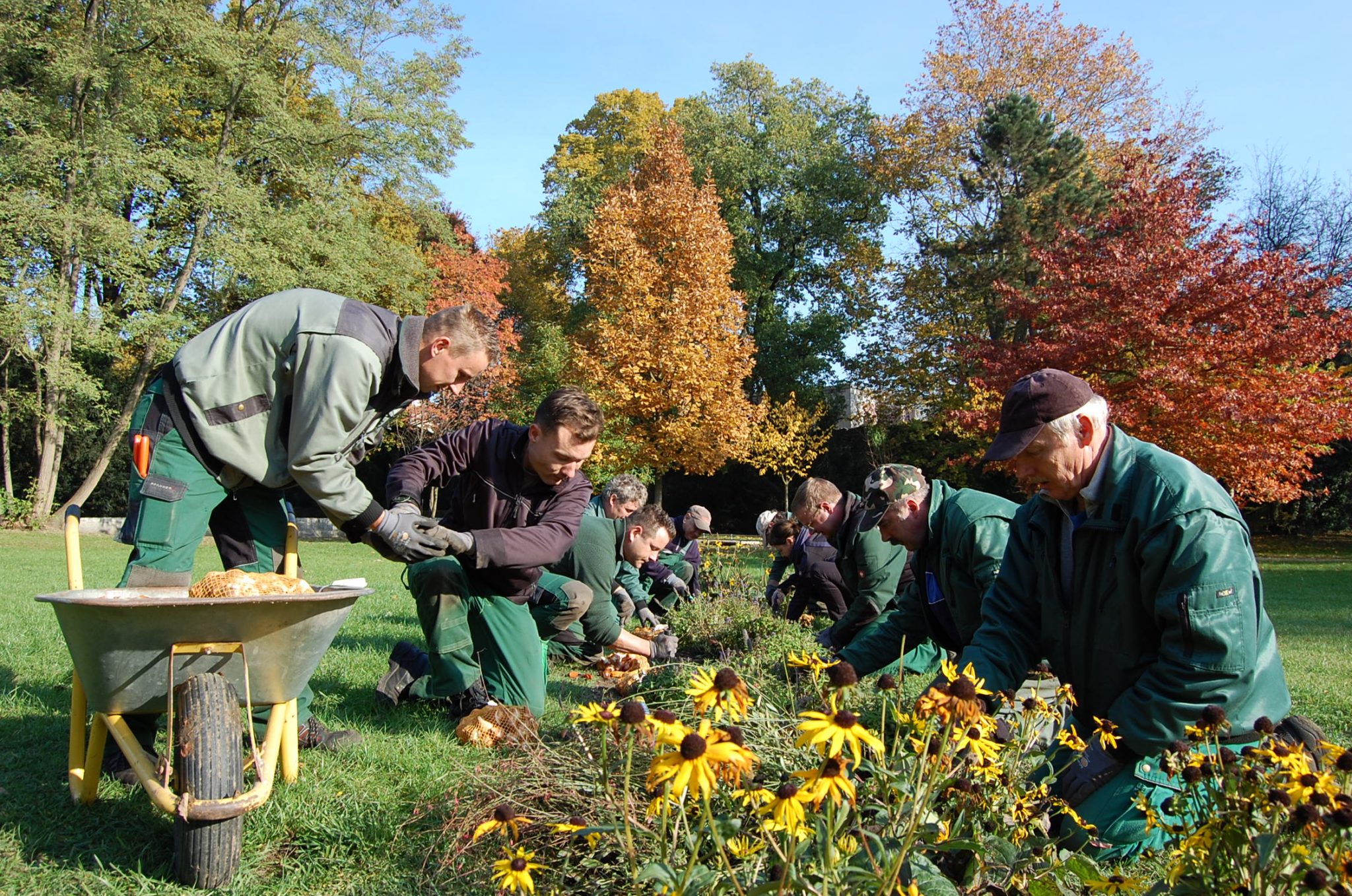 125.000 Blumenzwiebeln für Bernau bei Berlin 40 125.000 Blumenzwiebeln für Bernau bei Berlin