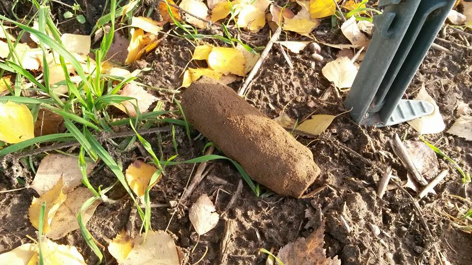 Danewitz: Mit einmal lag ne scharfe Sprenggranate auf dem Fliessband 63 Danewitz: Mit einmal lag ne scharfe Sprenggranate auf dem Fliessband