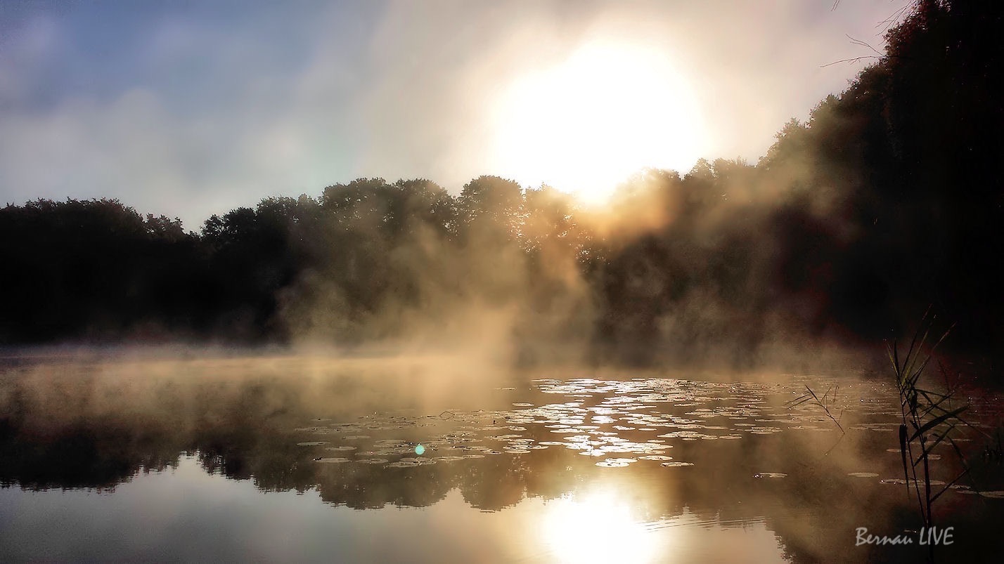 Bernau: Guten Morgen und einen schönen Feiertag! 92 Guten Morgen und einen schönen Feiertag!