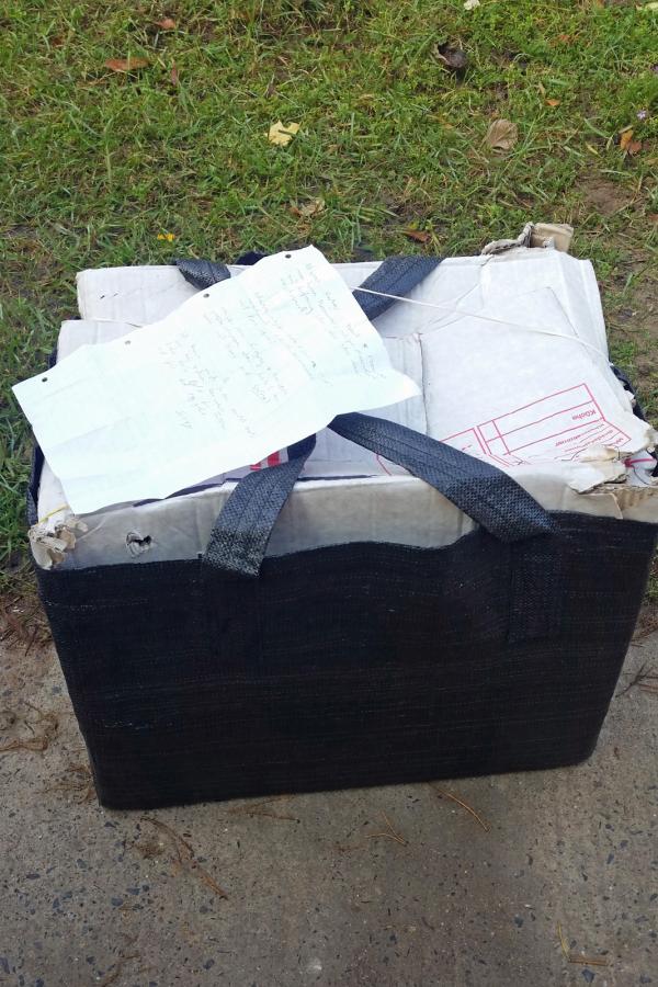 Tierheim Ladeburg: 3 Kater in Kiste gesperrt und ausgesetzt 22 Bernau - Tierheim Ladeburg: 3 Kater in Kiste gesperrt und ausgesetzt