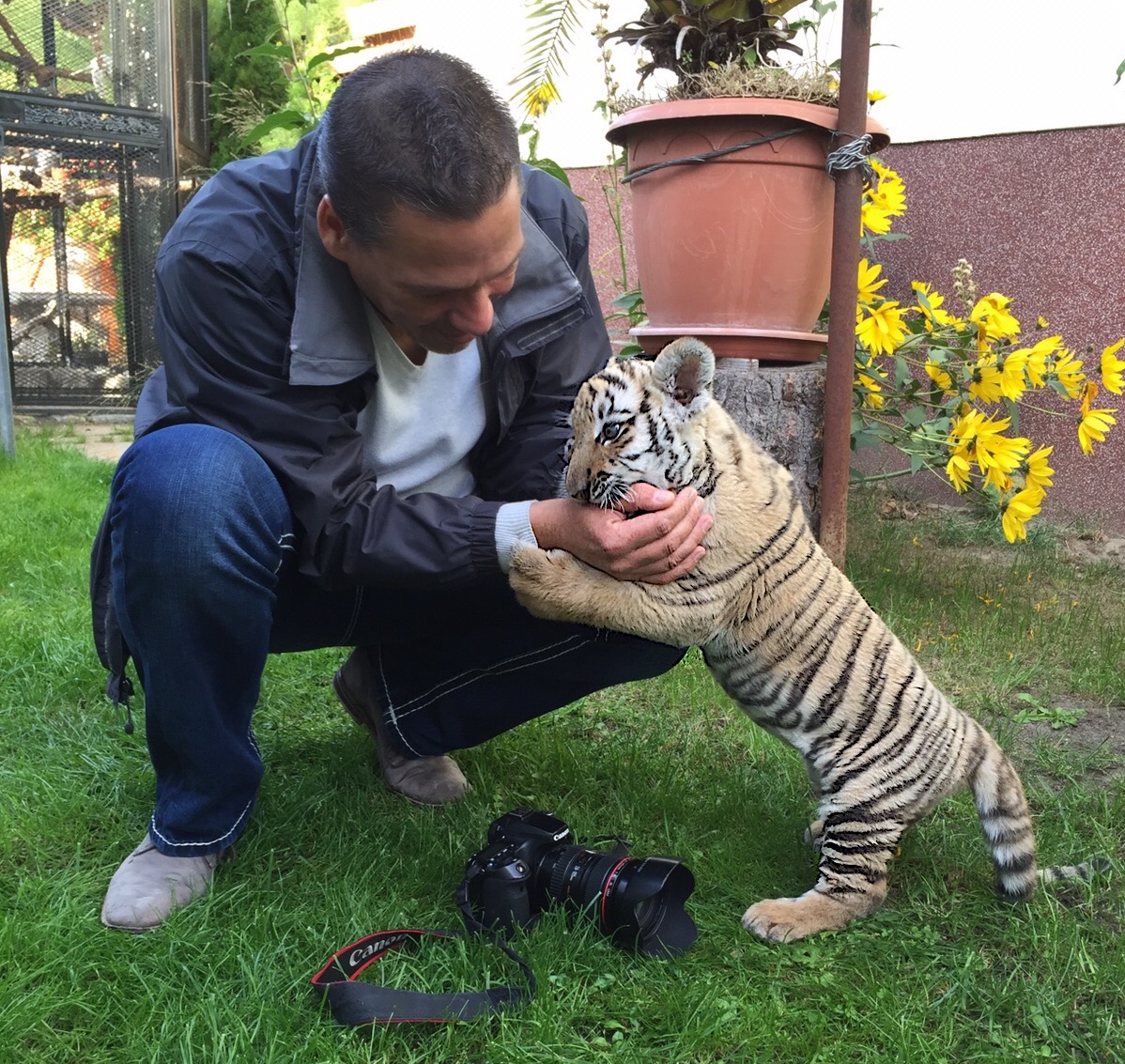 Bernau: Wir haben heute bei Findel-Tiger DIEGO vorbei geschaut 5 Bernau: Wir haben heute mal bei Findel-Tiger Diego vorbei geschaut