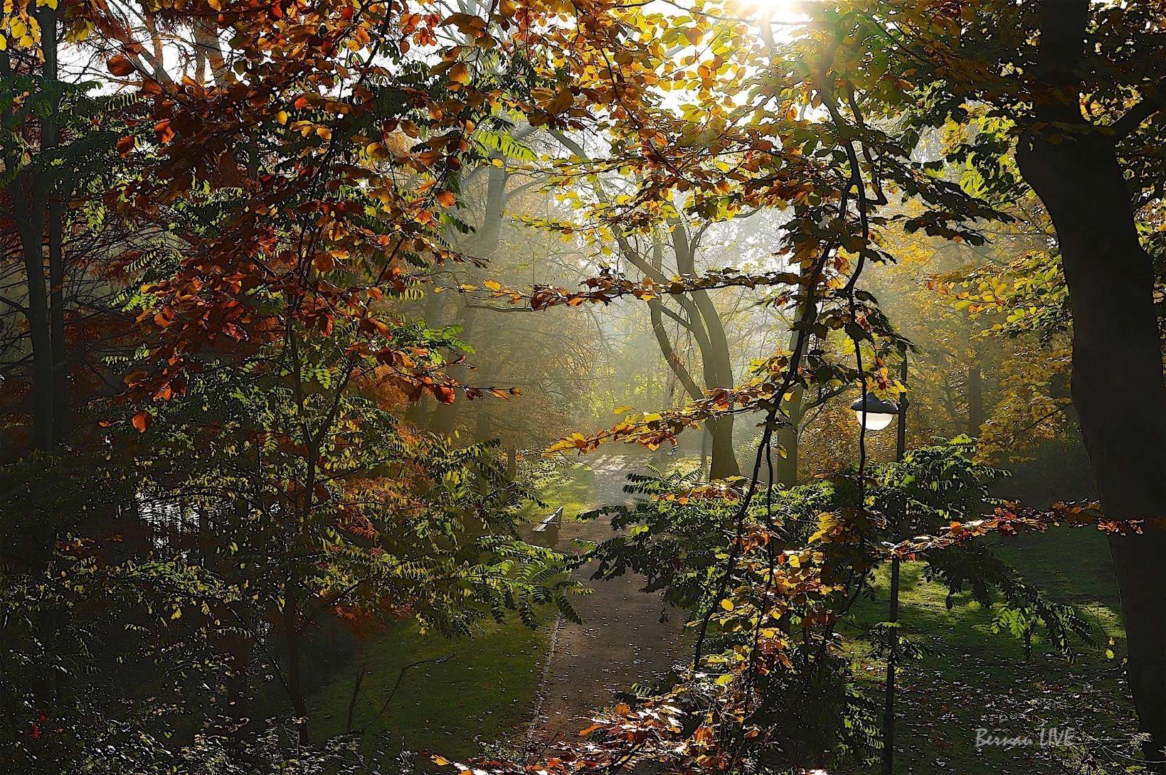 Bernau - Barnim: Guten Morgen in der Winterzeit 65 Bernau - Barnim: Guten Morgen in der Winterzeit