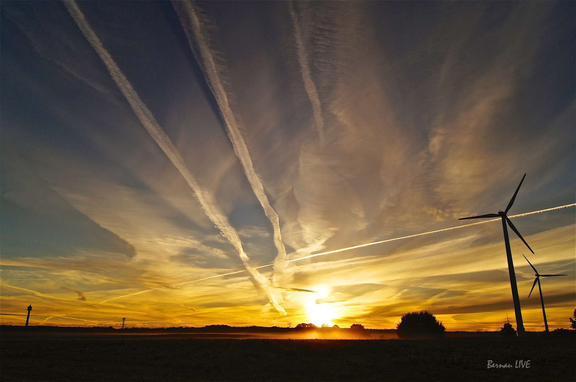 Bernau bei Berlin: Traumhaft schön in den heutigen Dienstag! 37 Bernau bei berlin: Traumhaft schön in den heutigen Dienstag