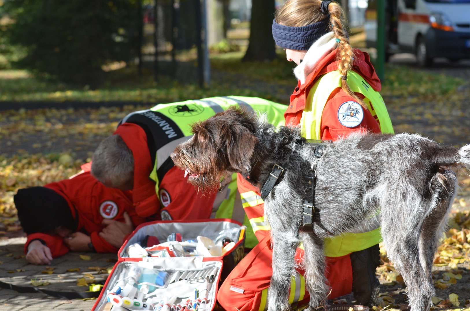 Barnim: Neue Spürhunde für das Land Brandenburg 30 Barnim: Neue Spürhunde für das Land Brandenburg