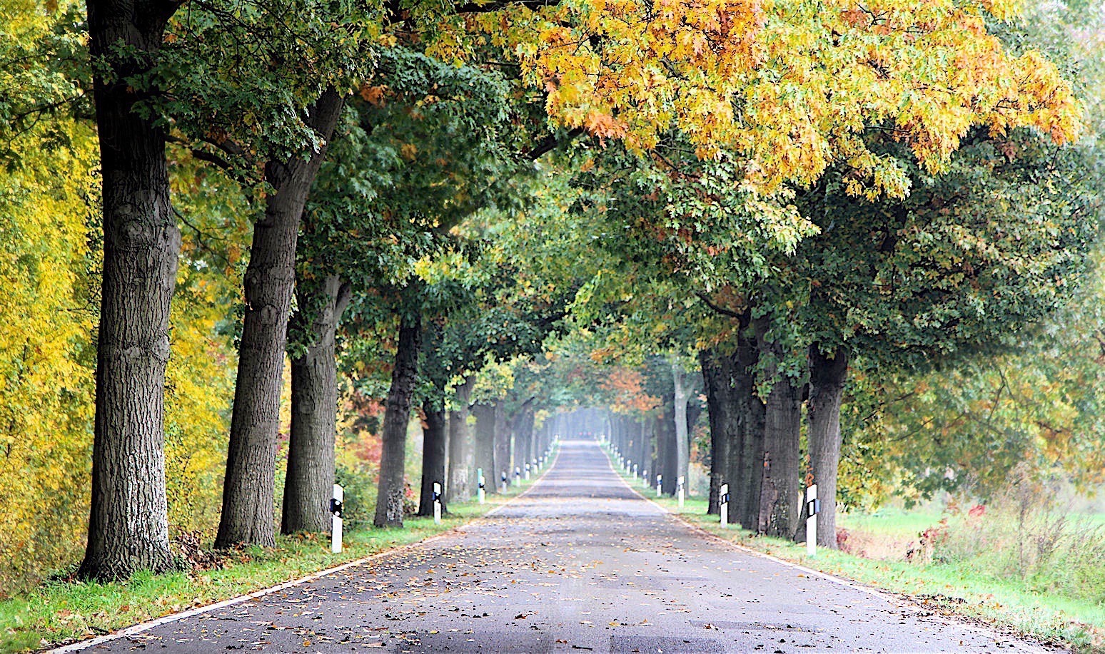 Bernau: Sonntag - mein einzig freier Tag seit Monaten! 1 Bernau: Sonntag - mein einzig freier Tag seit Monaten!