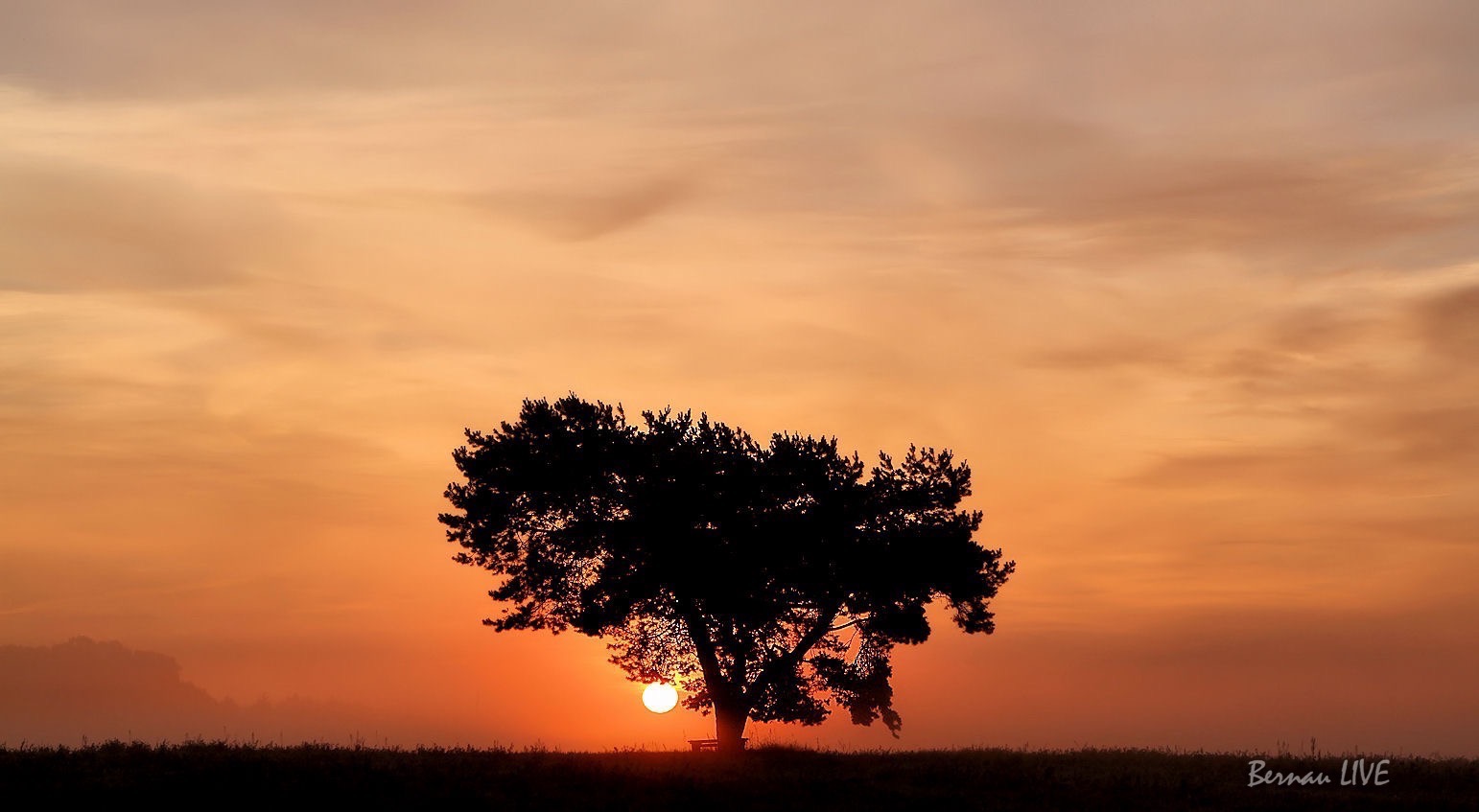 Bernau: Guten Morgen, Ihr Lieben und willkommen im Freitag 58 Bernau: Guten Morgen, Ihr Lieben!