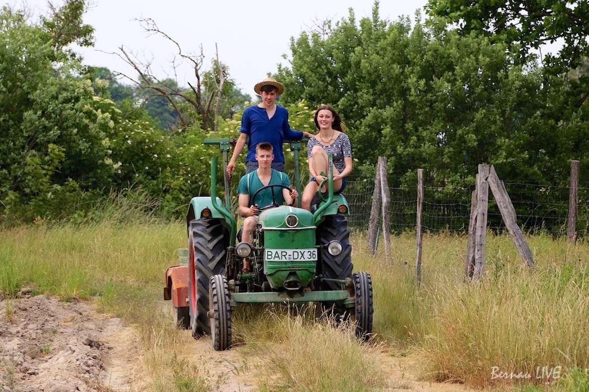 Danewitz - Bernau: Hofladen Hübner sucht fleißige Erntehelfer am Wochenende 23 Brandenburger Landpartie - Hofladen Hübner aus Danewitz sucht fleißige Erntehelfer am Wochenende