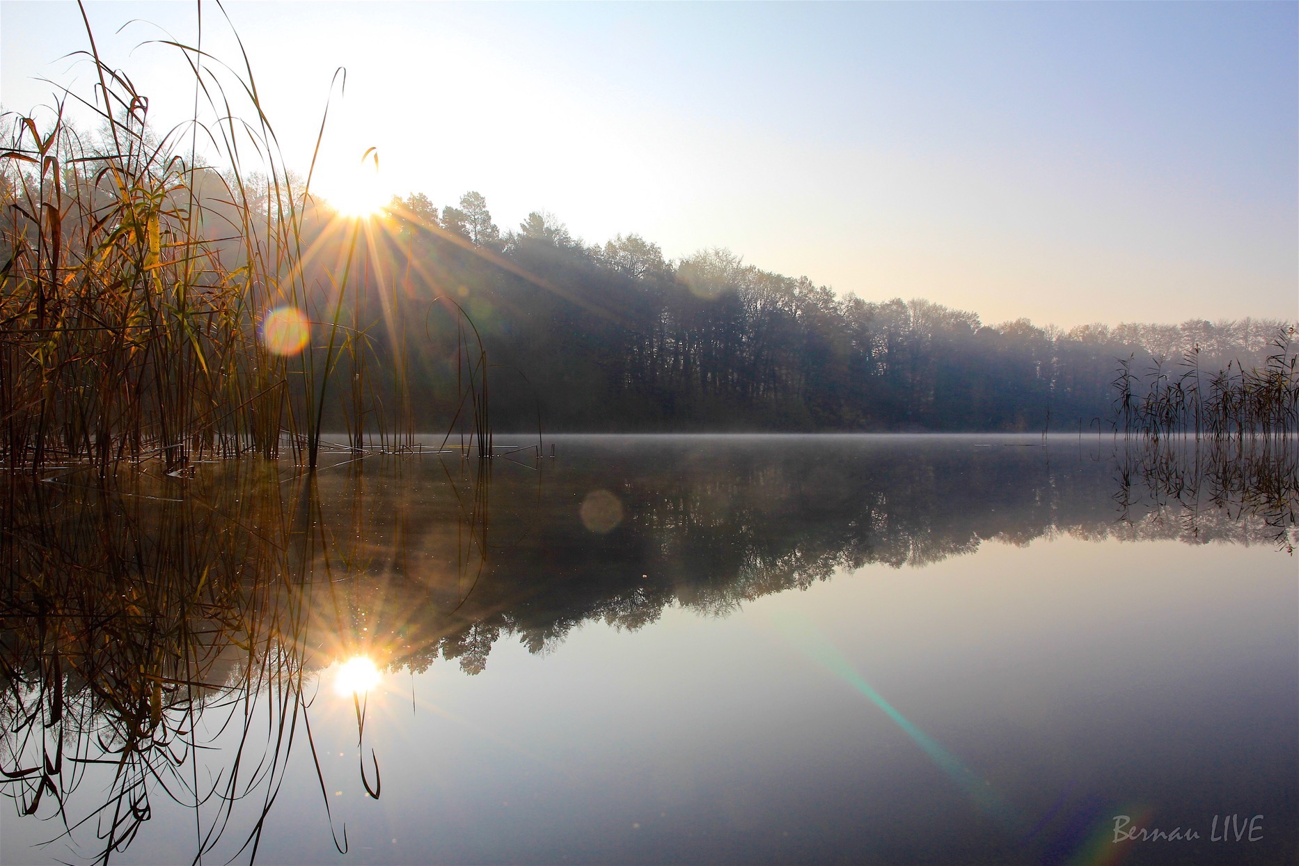 Bernau: Hilfe, wo ist bloß mein Eiskratzer - Guten Morgen! 160 Wir wünschen Euch einen schönen und ruhigen Sonntag in Bernau