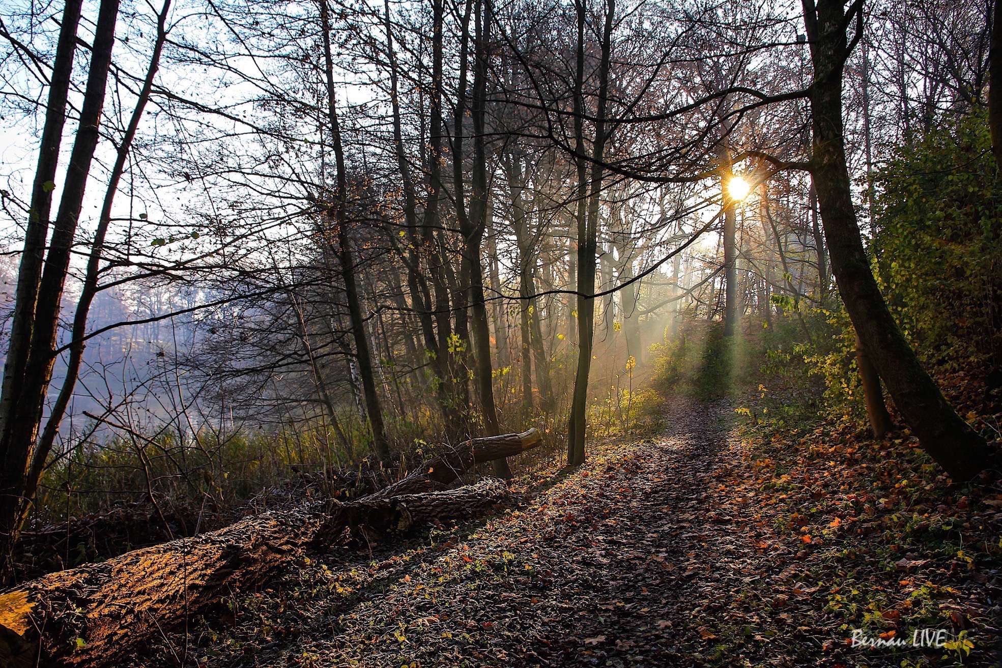 Barnim: Wochenende - Feiertag - Halloween - Veranstaltungstipps 3 Wochenende - Feiertag - Halloween - Veranstaltungstipps